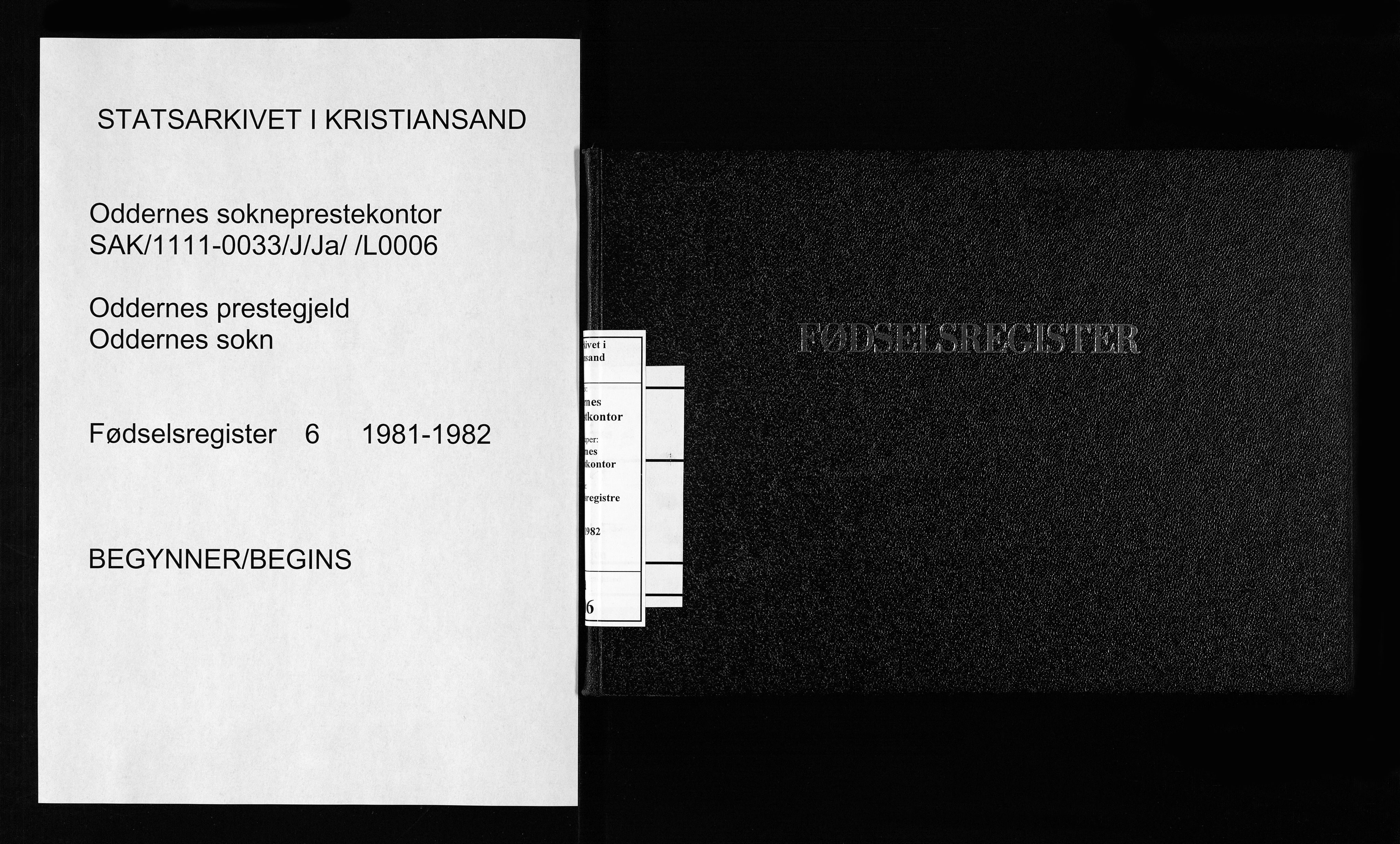 Oddernes sokneprestkontor, SAK/1111-0033/J/Ja/L0006: Birth register no. 6, 1981-1982