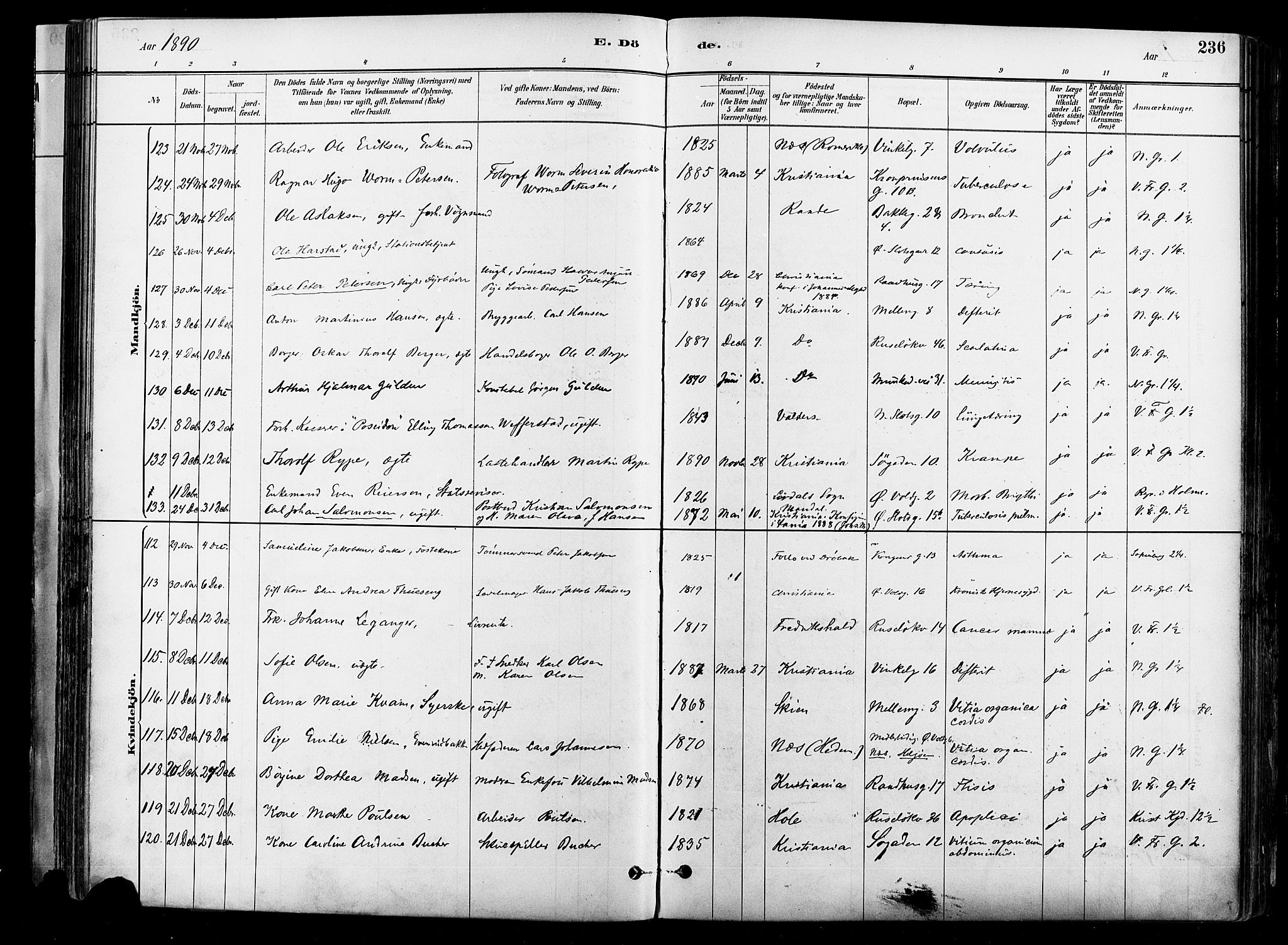 Johannes prestekontor Kirkebøker, SAO/A-10852/F/Fa/L0004: Parish register (official) no. 4, 1883-1907, p. 236