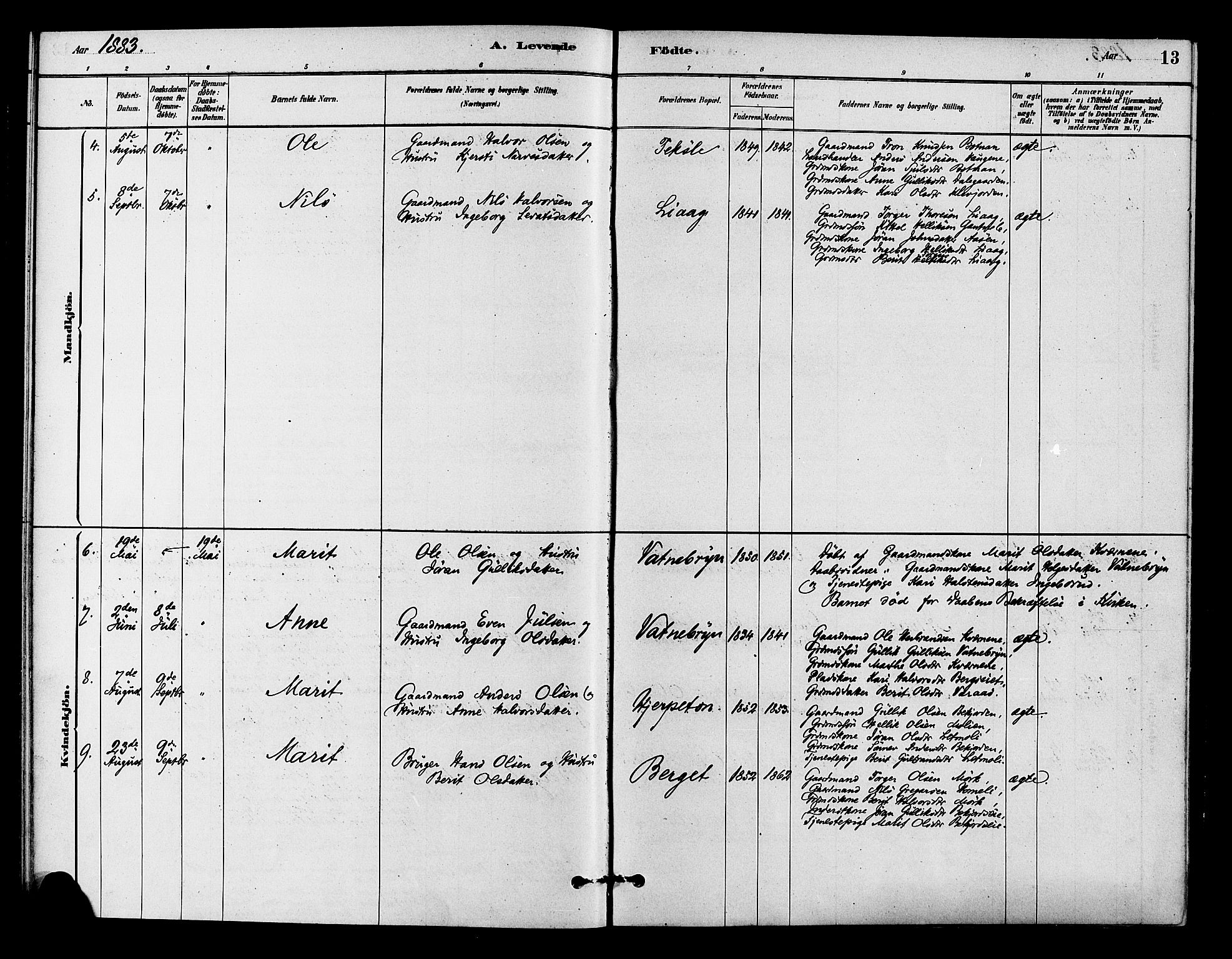 Flesberg kirkebøker, AV/SAKO-A-18/F/Fc/L0001: Parish register (official) no. III 1, 1879-1905, p. 13