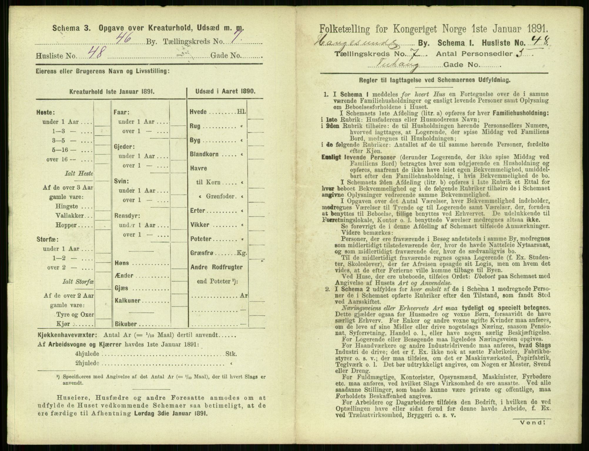 RA, 1891 census for 1106 Haugesund, 1891, p. 567