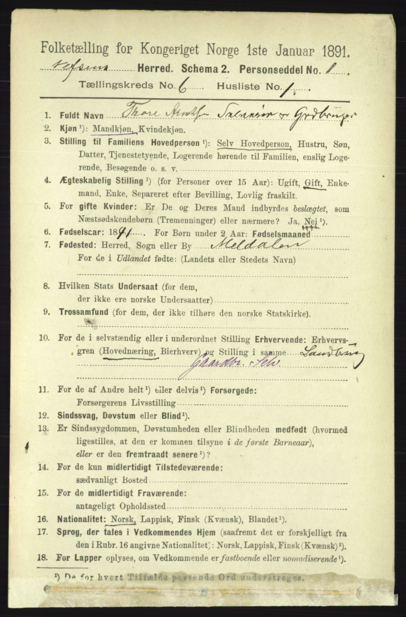 RA, 1891 census for 1824 Vefsn, 1891, p. 2807