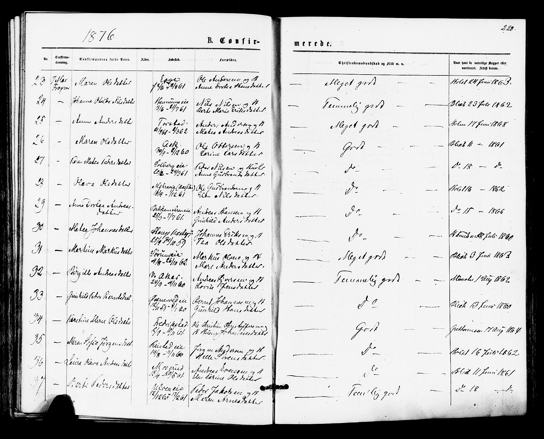 Lier kirkebøker, AV/SAKO-A-230/F/Fa/L0014: Parish register (official) no. I 14, 1875-1882, p. 220