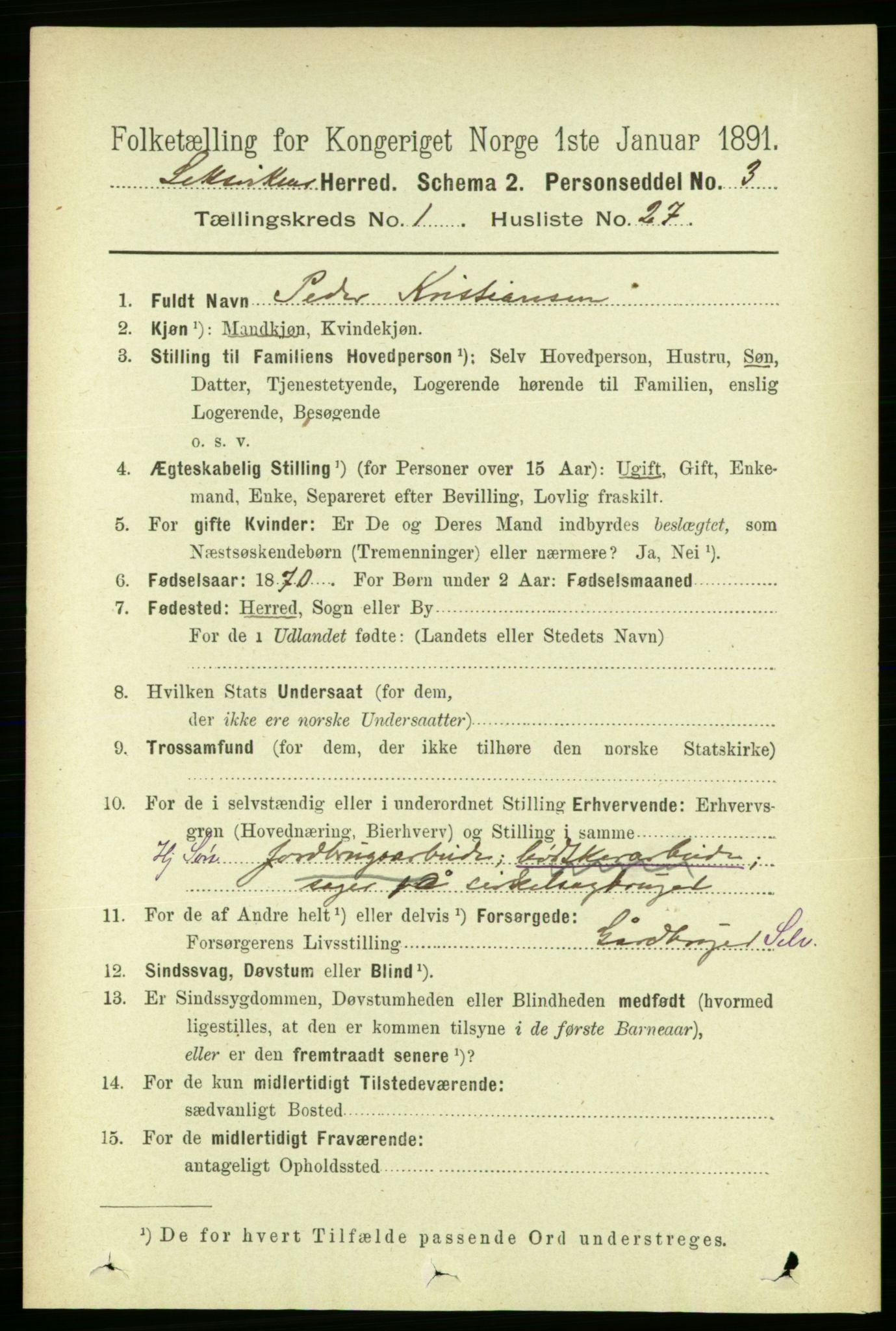 RA, 1891 census for 1718 Leksvik, 1891, p. 291