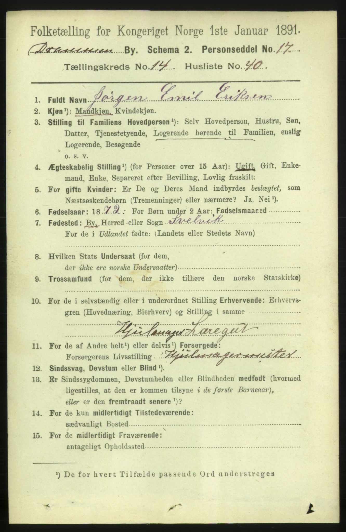 RA, 1891 census for 0602 Drammen, 1891, p. 10500