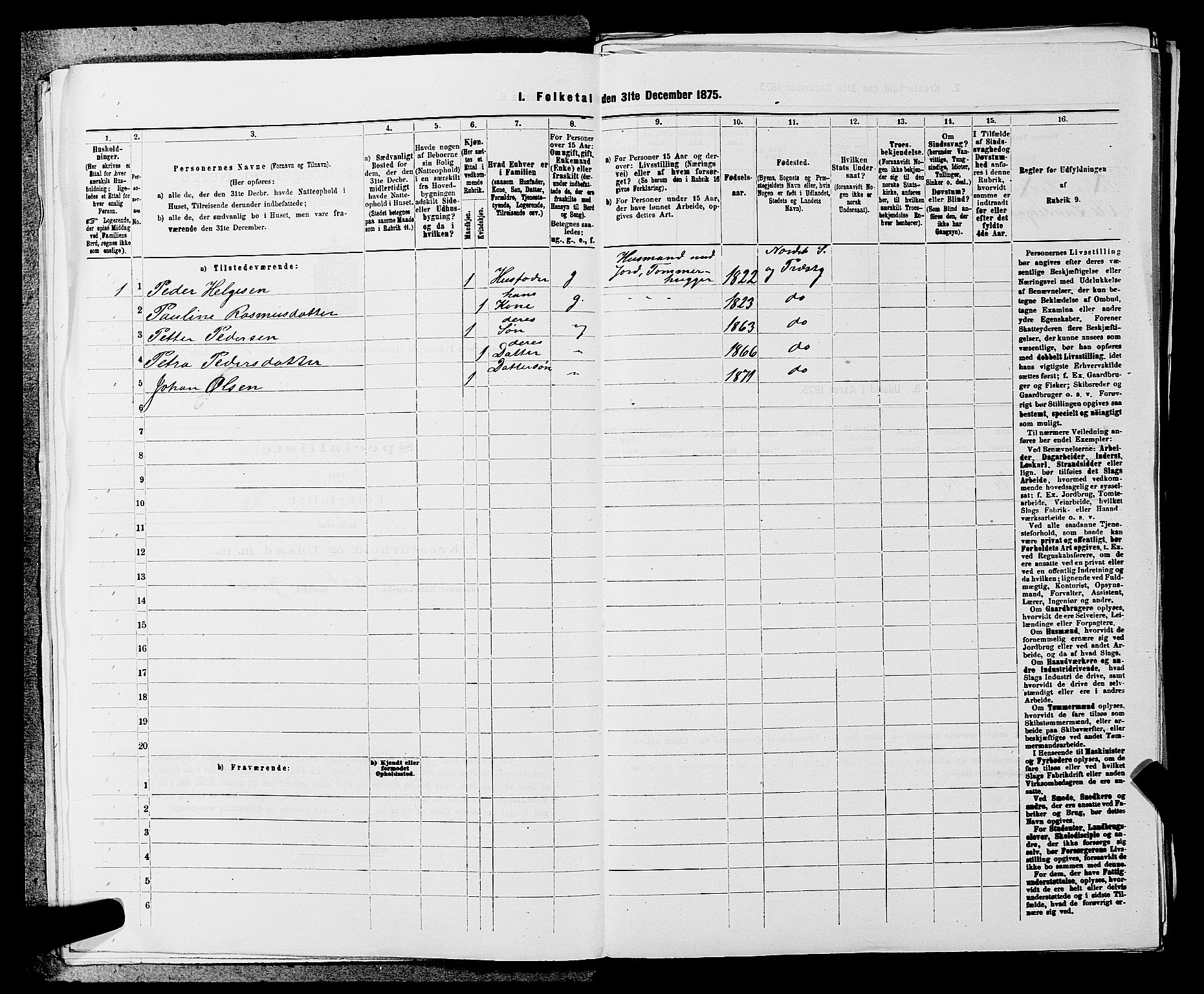 SAKO, 1875 census for 0613L Norderhov/Norderhov, Haug og Lunder, 1875, p. 1245