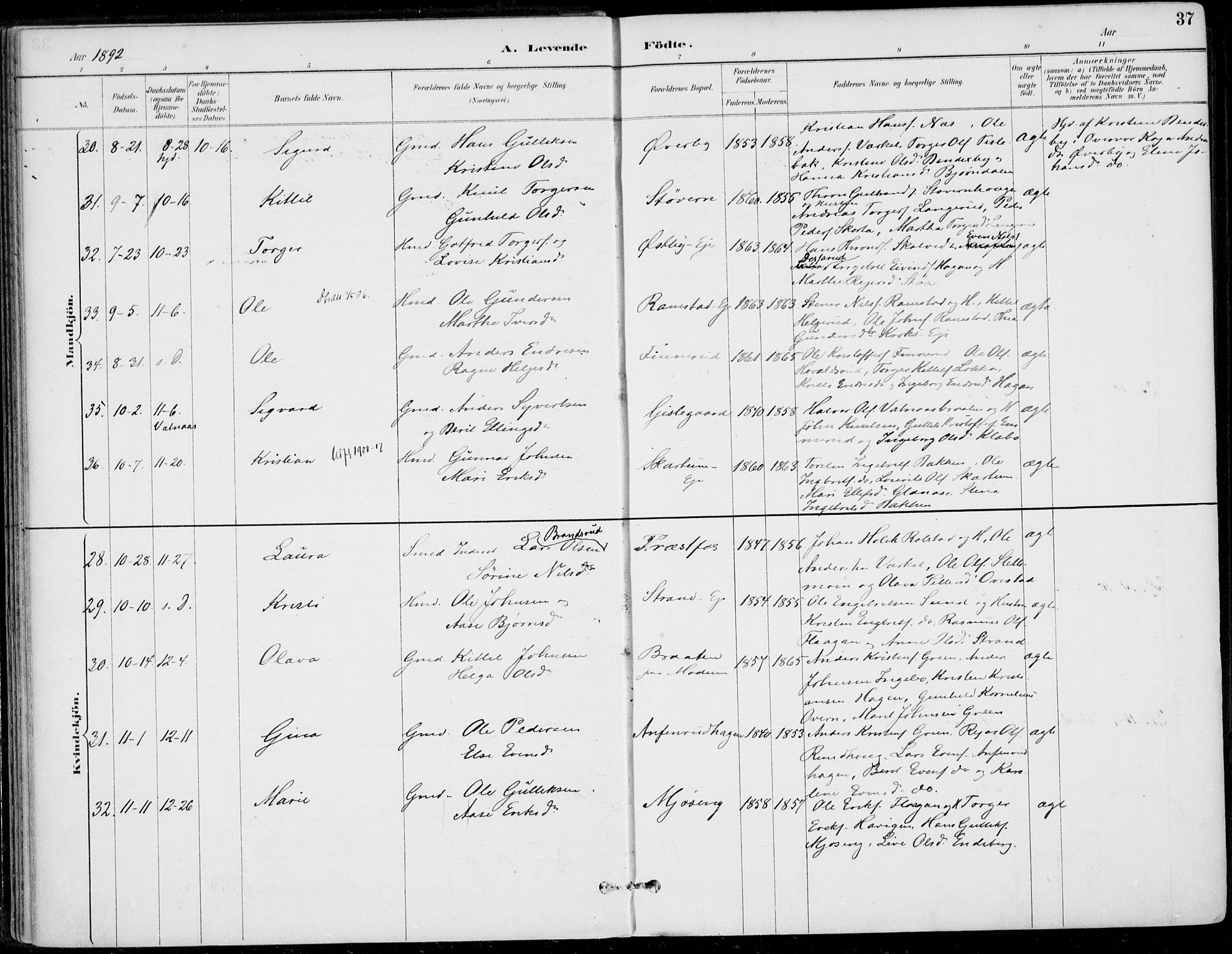 Sigdal kirkebøker, AV/SAKO-A-245/F/Fb/L0001: Parish register (official) no. II 1, 1888-1900, p. 37