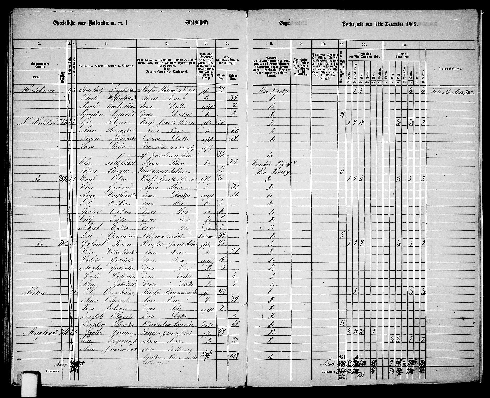 RA, 1865 census for Hå, 1865, p. 119