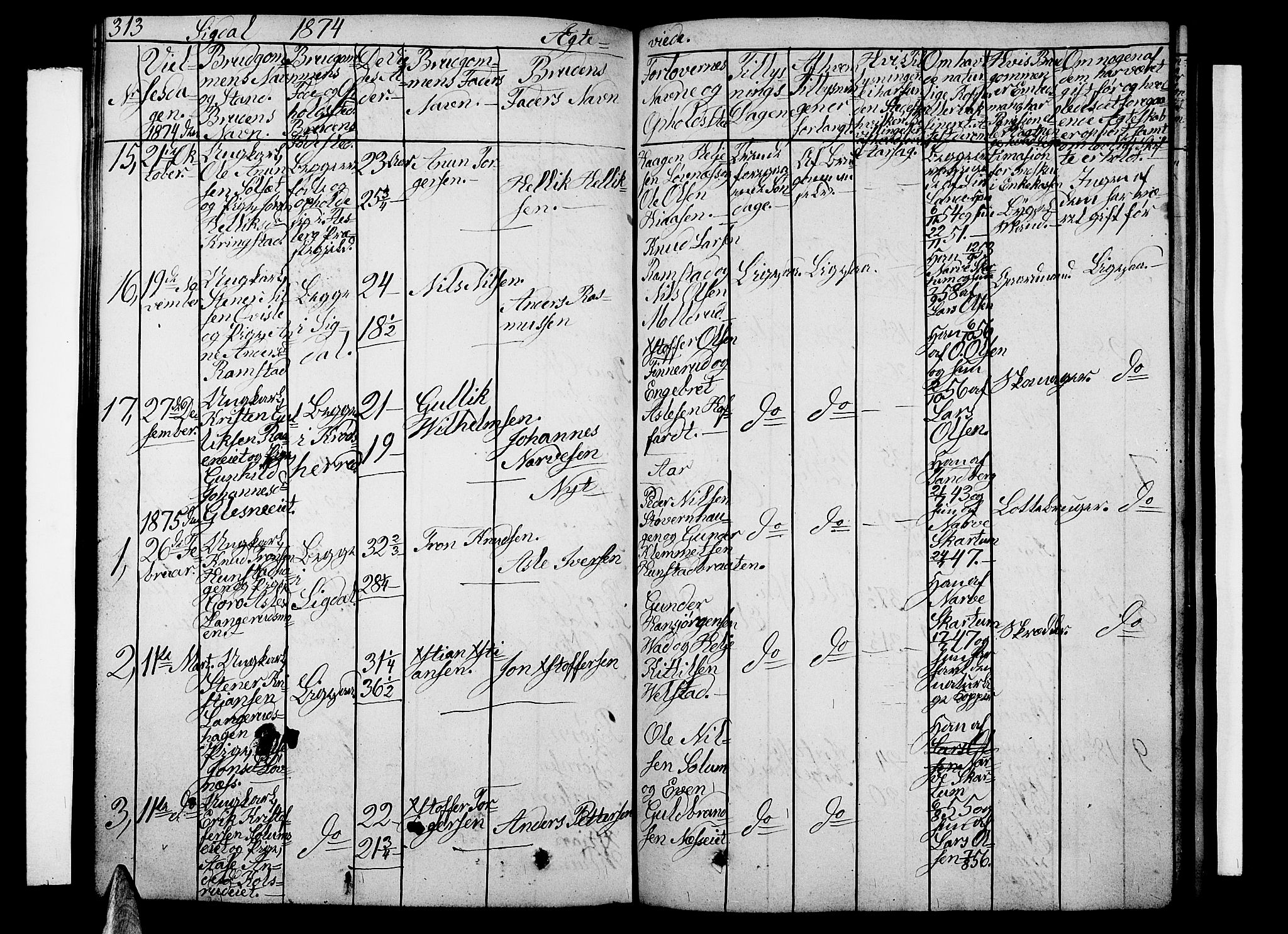 Sigdal kirkebøker, AV/SAKO-A-245/G/Ga/L0003: Parish register (copy) no. I 3, 1857-1878, p. 313