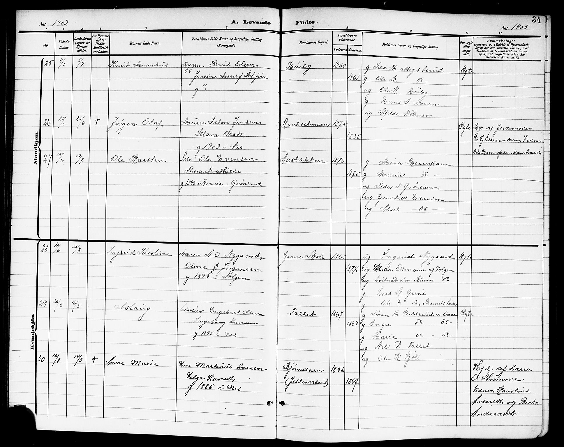 Nes prestekontor Kirkebøker, AV/SAO-A-10410/G/Ga/L0002: Parish register (copy) no. I 2, 1901-1912, p. 34