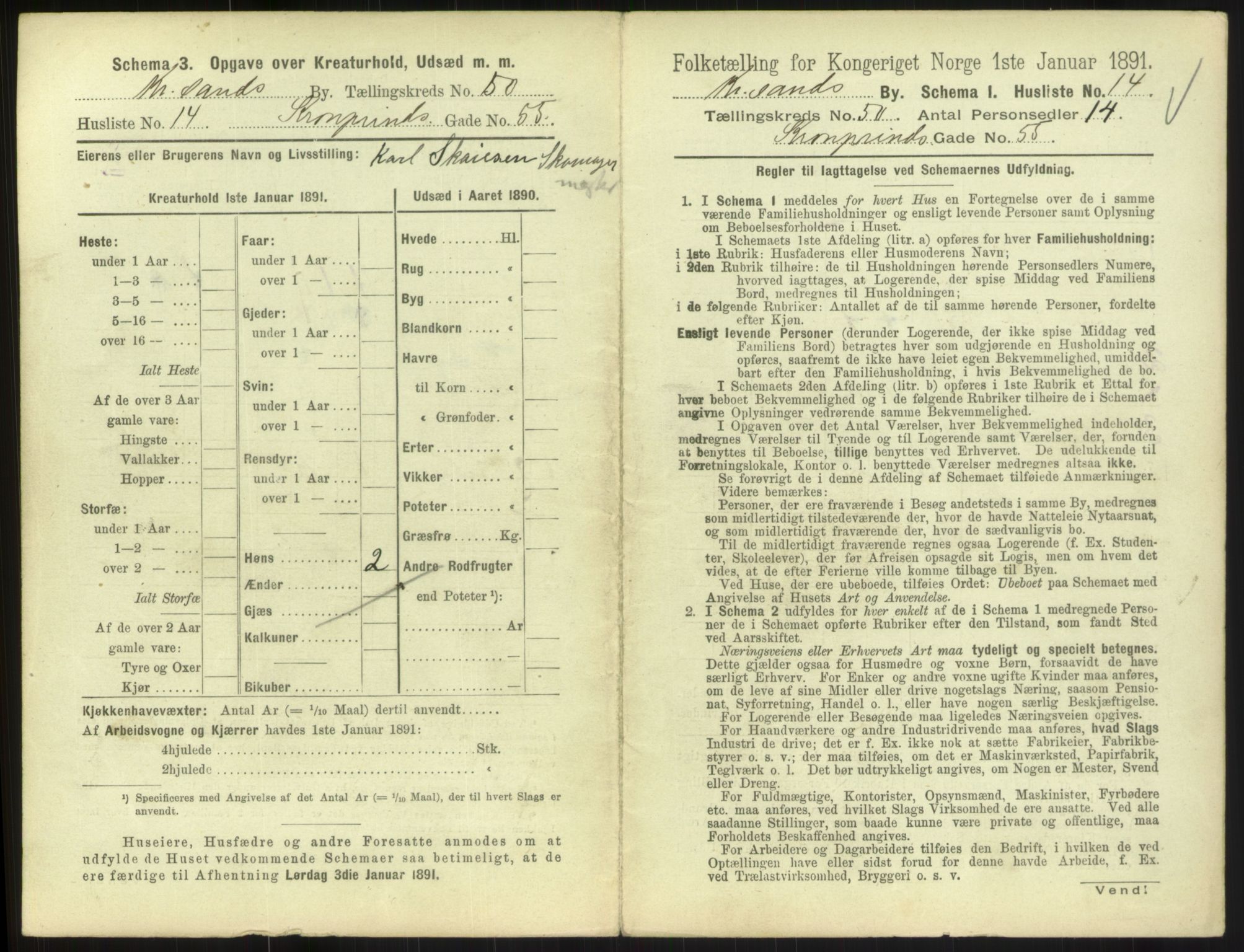 RA, 1891 census for 1001 Kristiansand, 1891, p. 2682