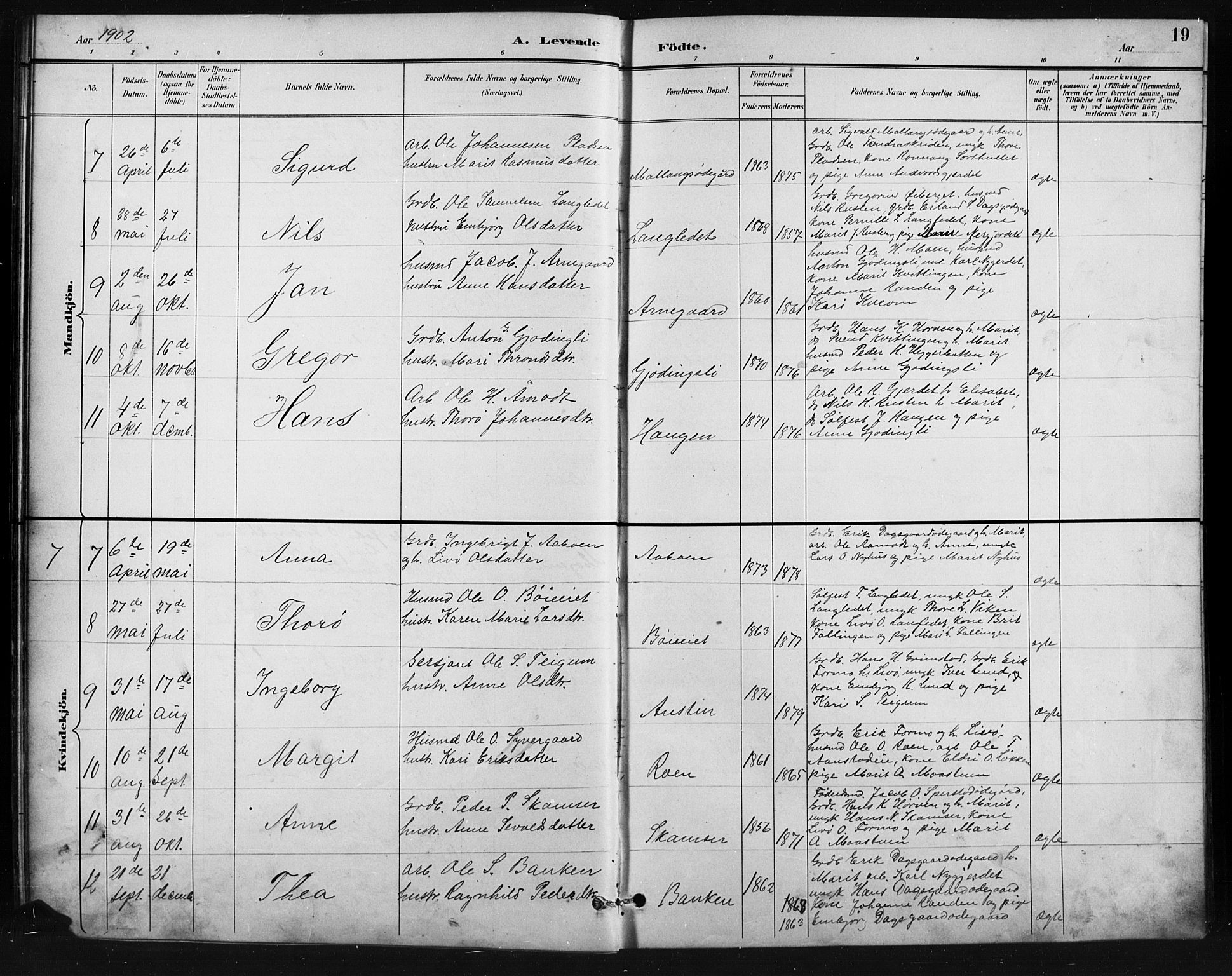 Skjåk prestekontor, SAH/PREST-072/H/Ha/Hab/L0004: Parish register (copy) no. 4, 1895-1921, p. 19