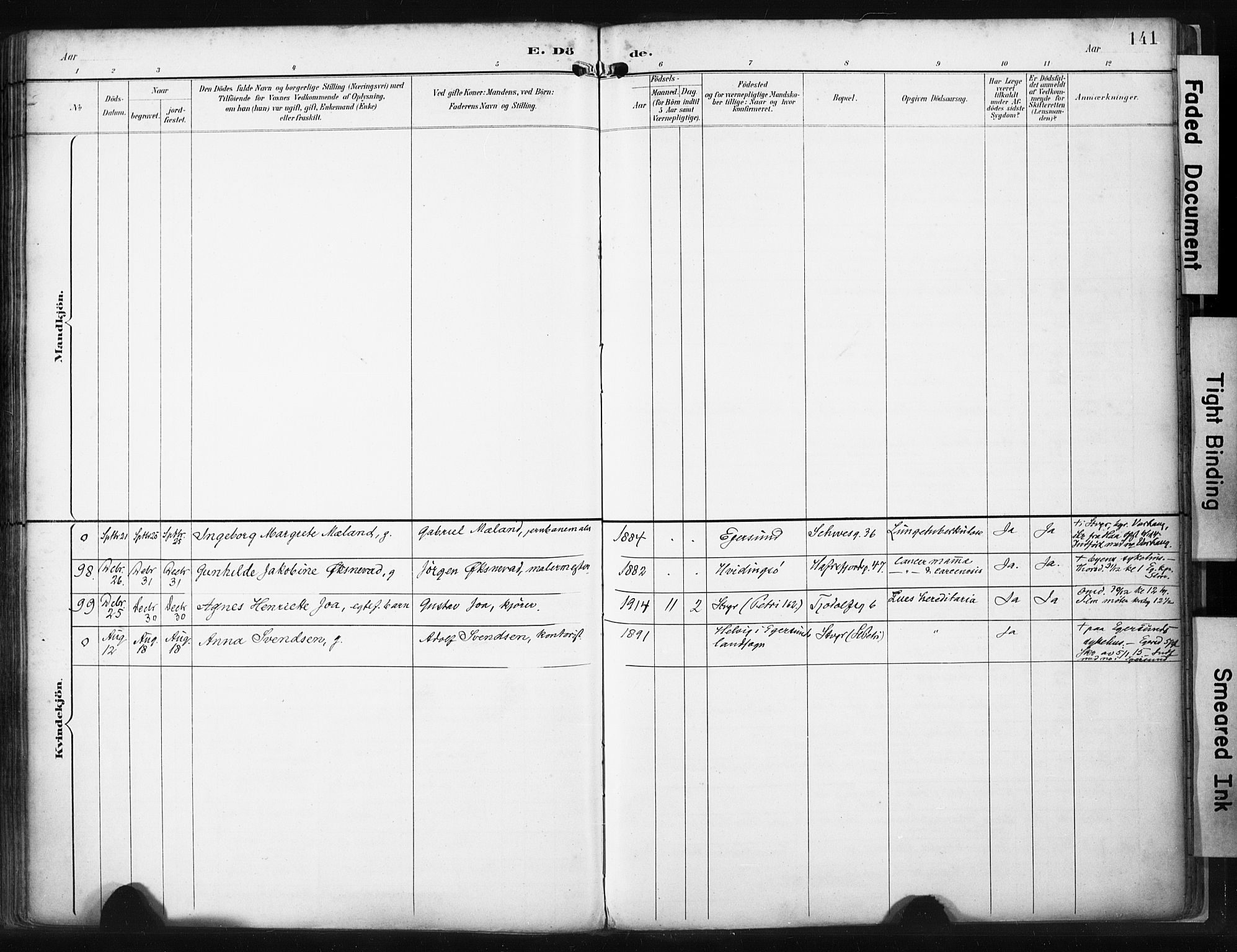 St. Petri sokneprestkontor, AV/SAST-A-101813/001/30/30BA/L0022: Parish register (official) no. A 22, 1895-1919, p. 141