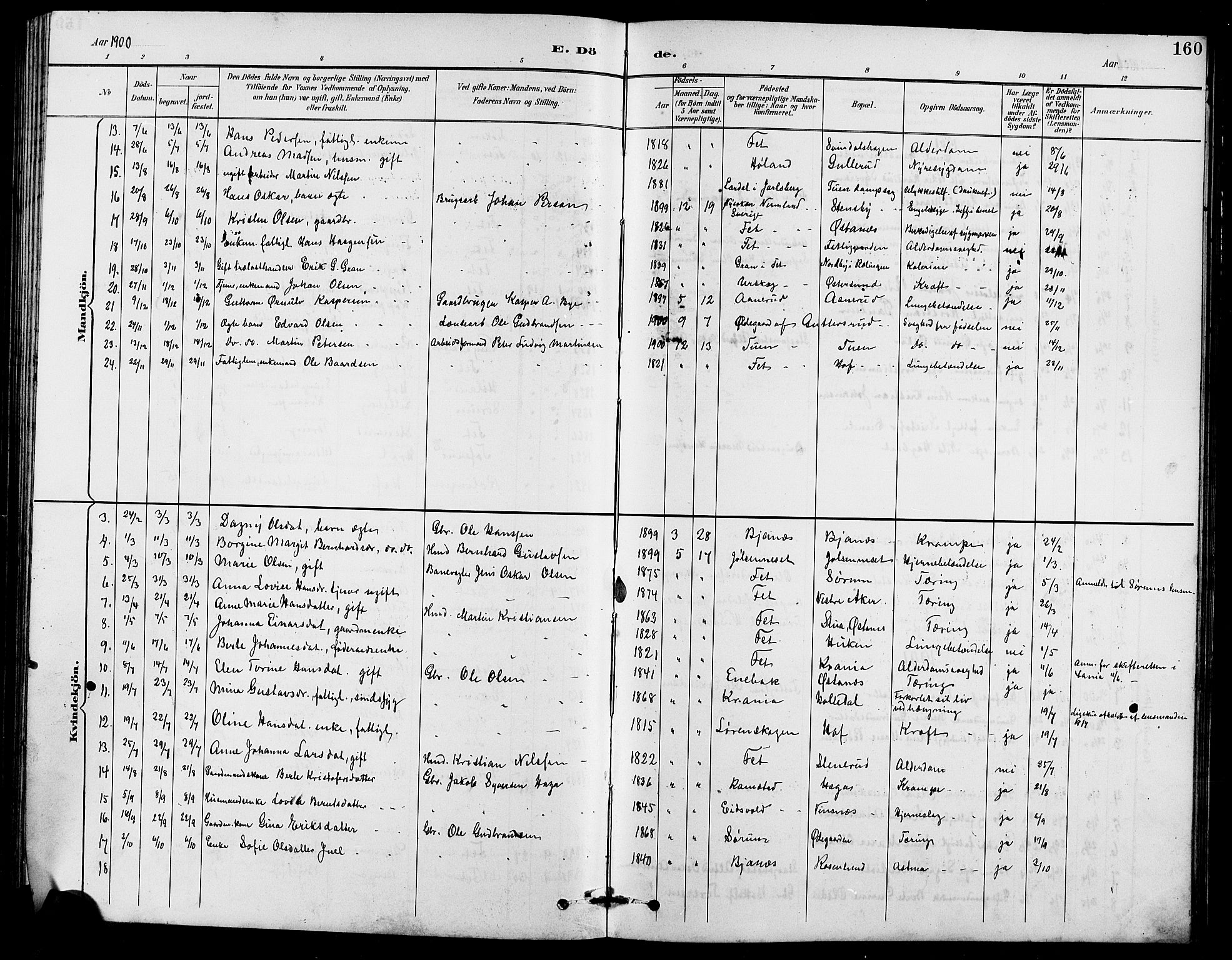 Fet prestekontor Kirkebøker, AV/SAO-A-10370a/G/Ga/L0007: Parish register (copy) no. I 7, 1892-1906, p. 160