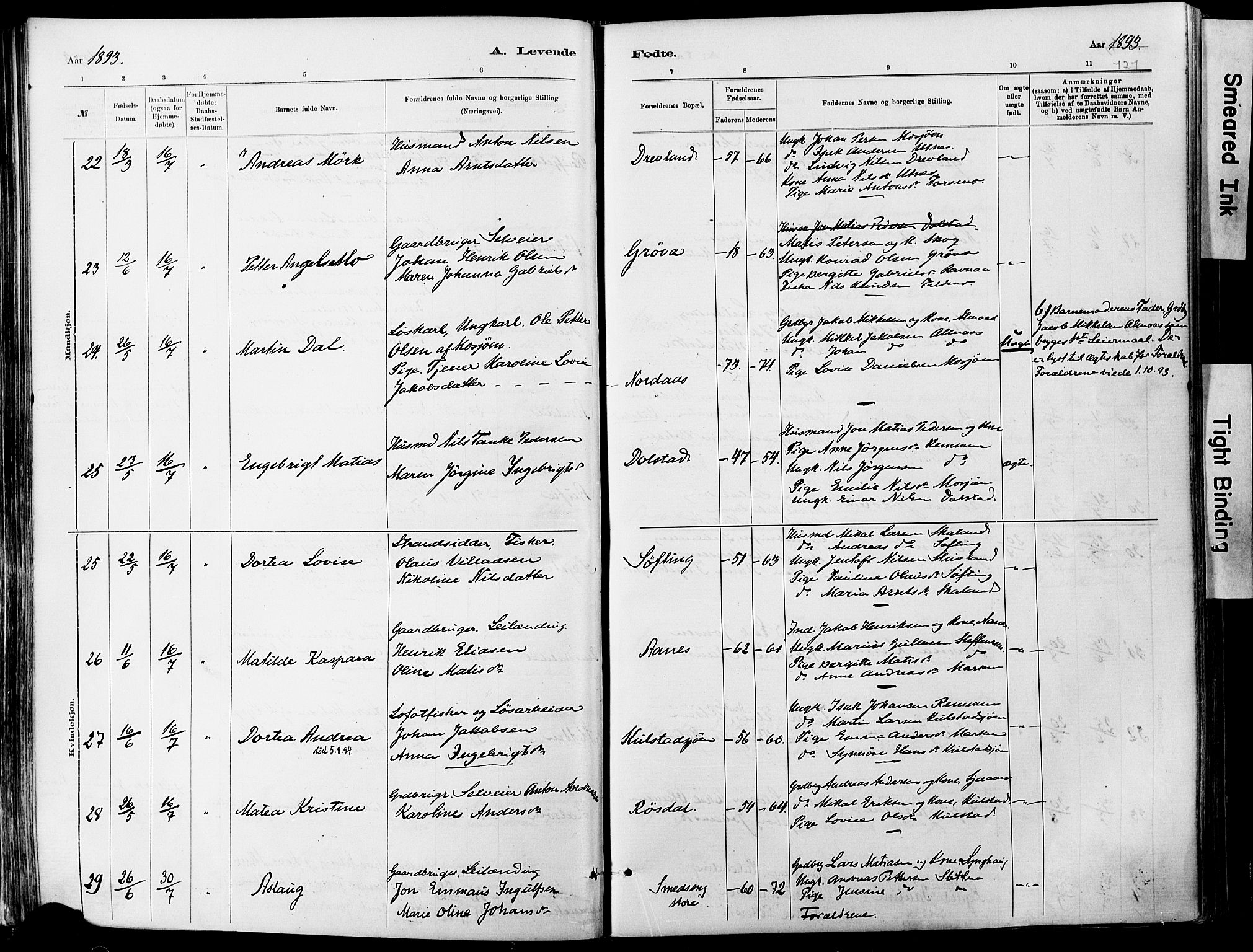 Ministerialprotokoller, klokkerbøker og fødselsregistre - Nordland, AV/SAT-A-1459/820/L0295: Parish register (official) no. 820A16, 1880-1896, p. 121