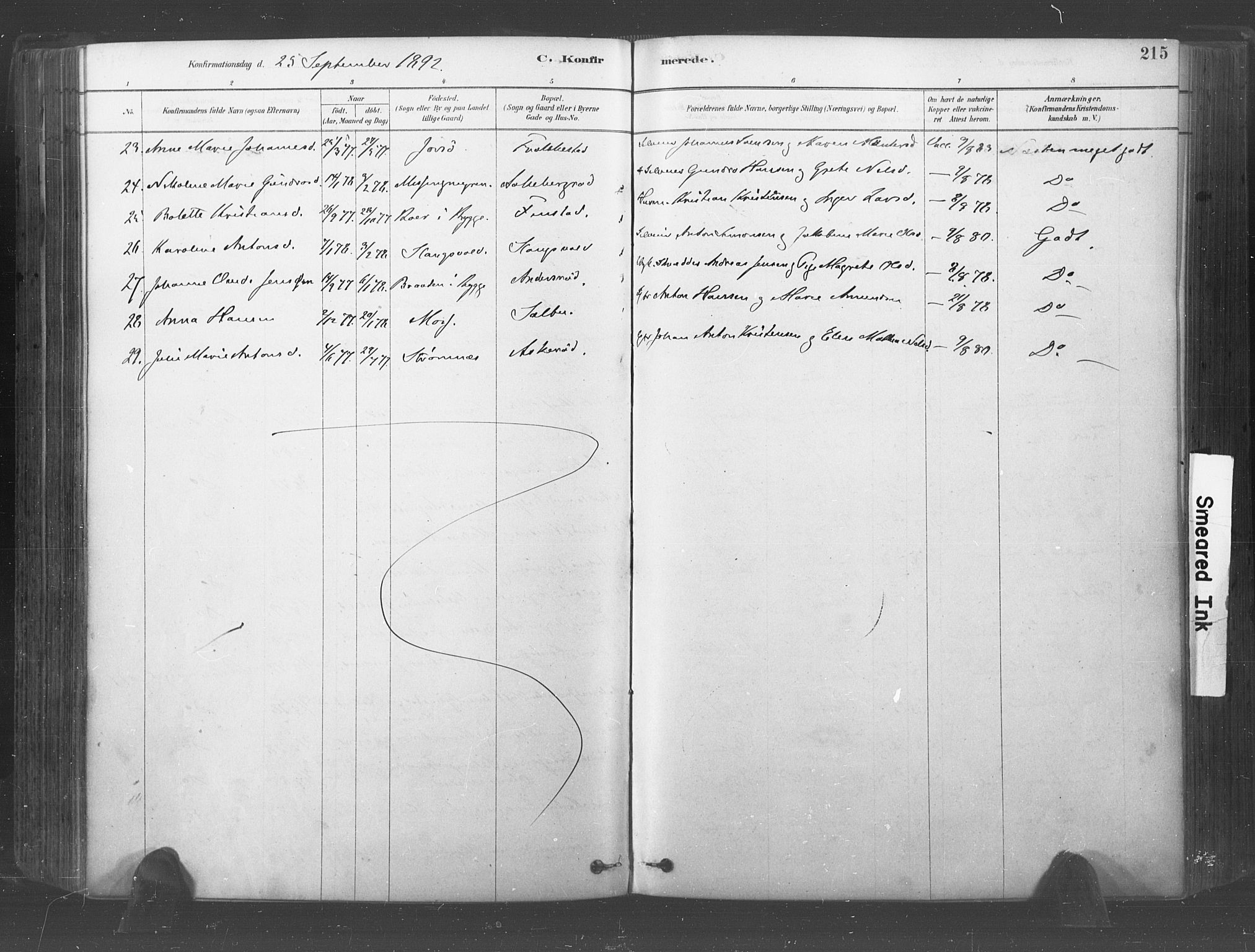 Råde prestekontor kirkebøker, AV/SAO-A-2009/F/Fa/L0007: Parish register (official) no. 7, 1878-1902, p. 215