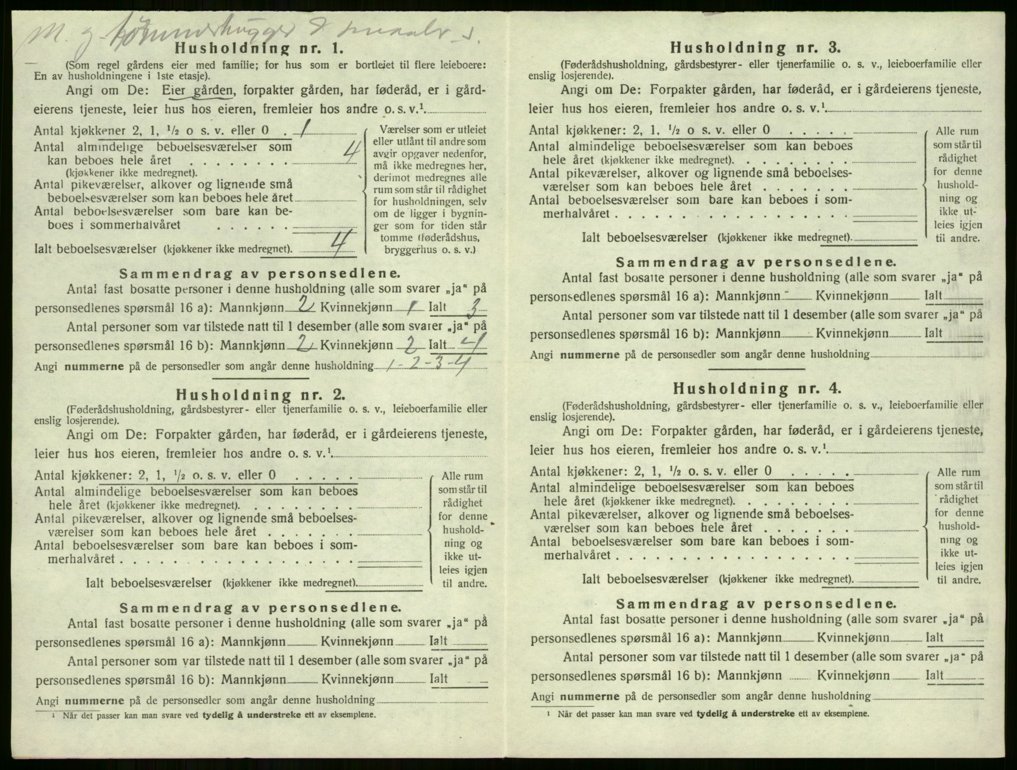 SAKO, 1920 census for Tyristrand, 1920, p. 245