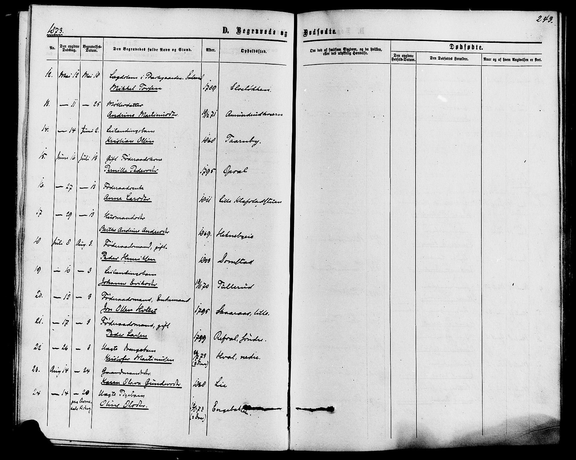Romedal prestekontor, SAH/PREST-004/K/L0006: Parish register (official) no. 6, 1866-1886, p. 243