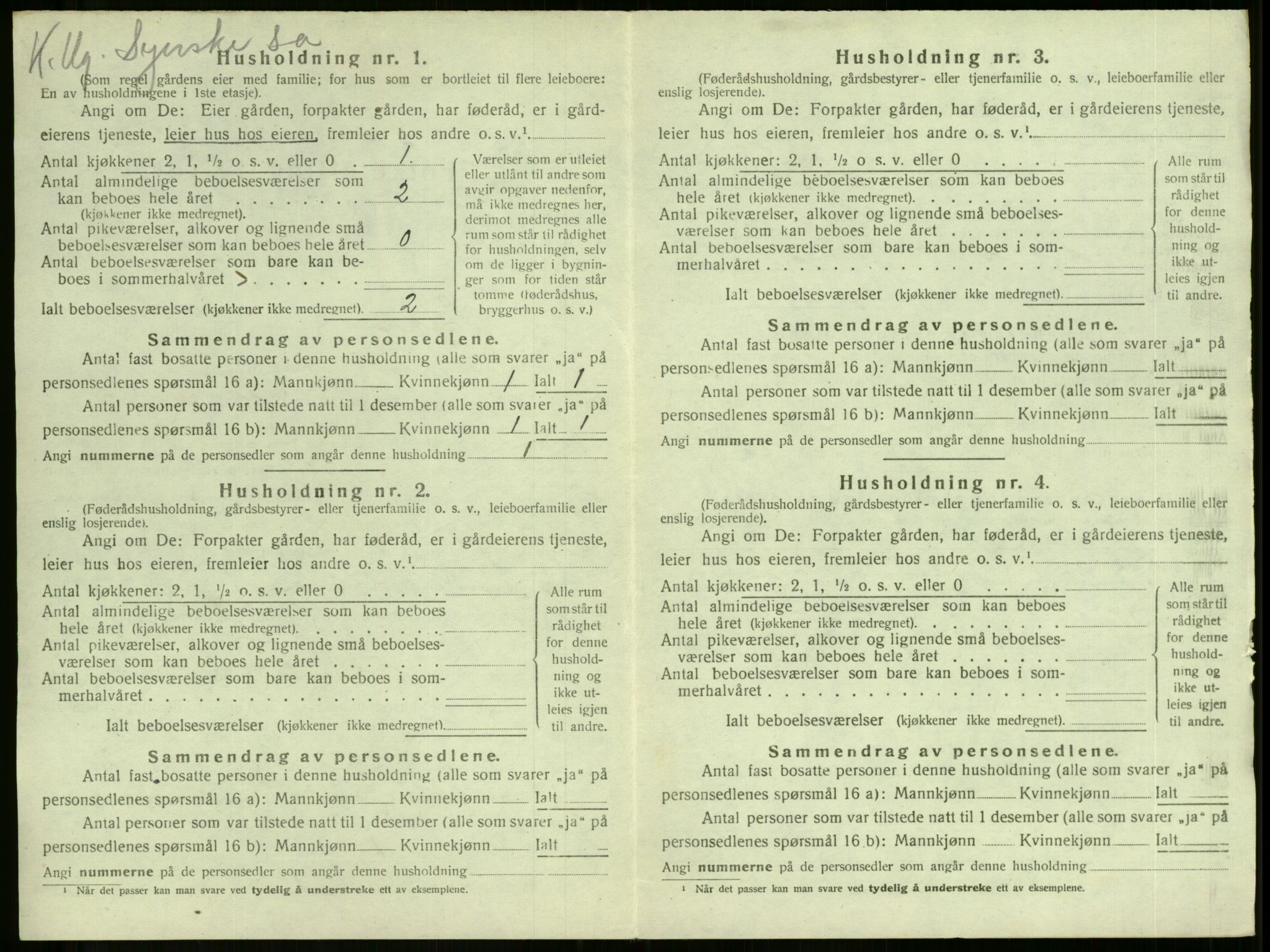 SAKO, 1920 census for Stokke, 1920, p. 478