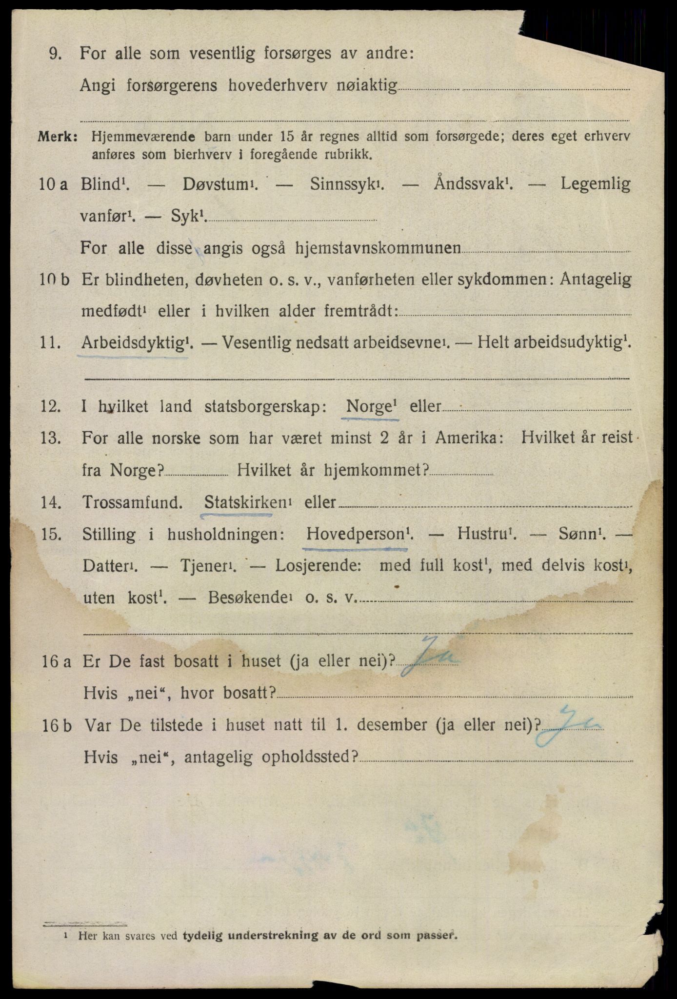 SAO, 1920 census for Nes, 1920, p. 21941