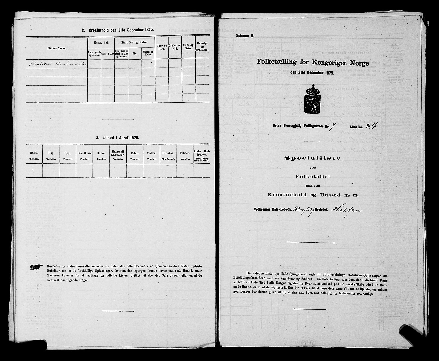 SAKO, 1875 census for 0715P Botne, 1875, p. 590