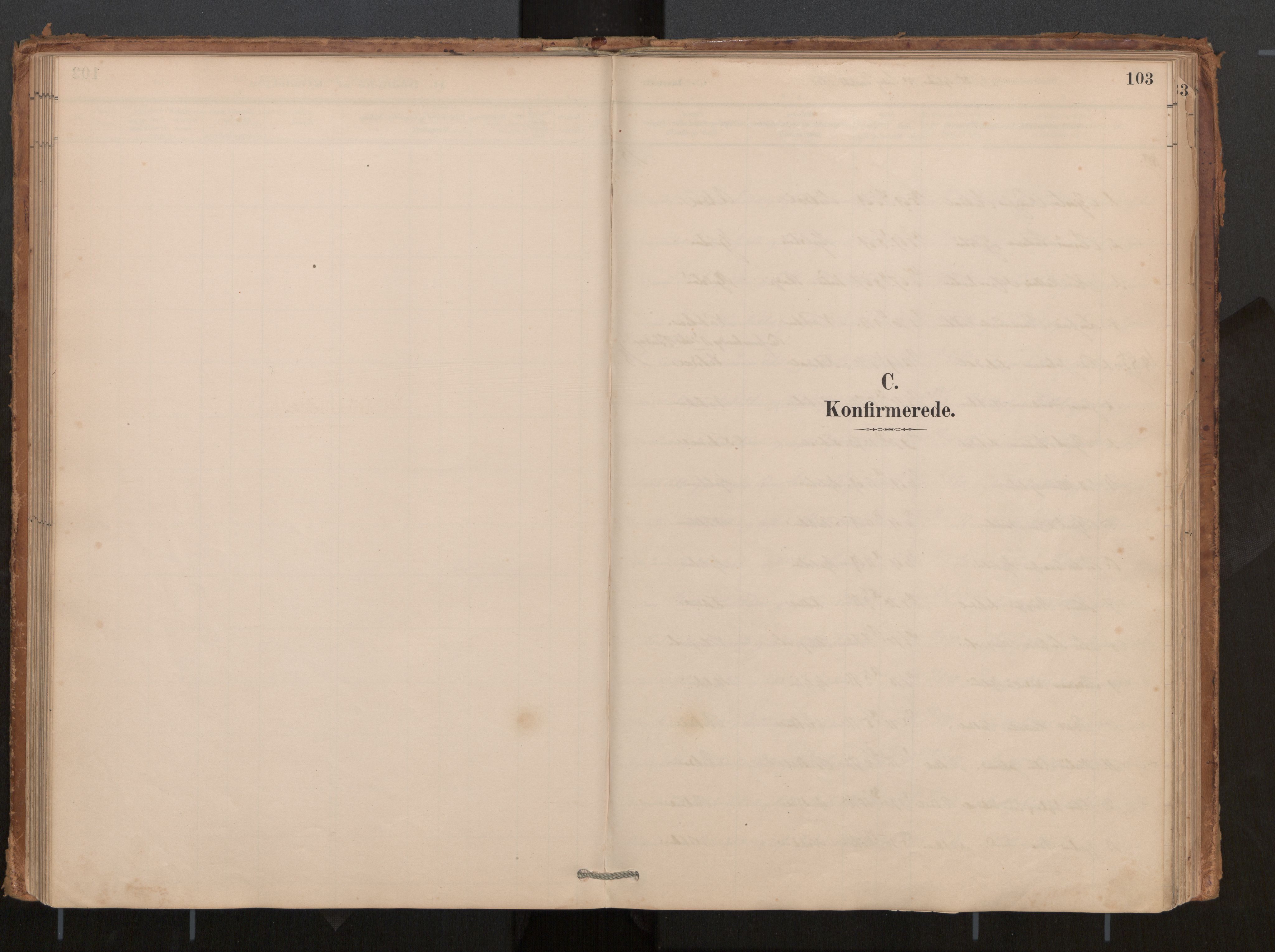 Ministerialprotokoller, klokkerbøker og fødselsregistre - Møre og Romsdal, SAT/A-1454/540/L0540a: Parish register (official) no. 540A02, 1884-1908, p. 103