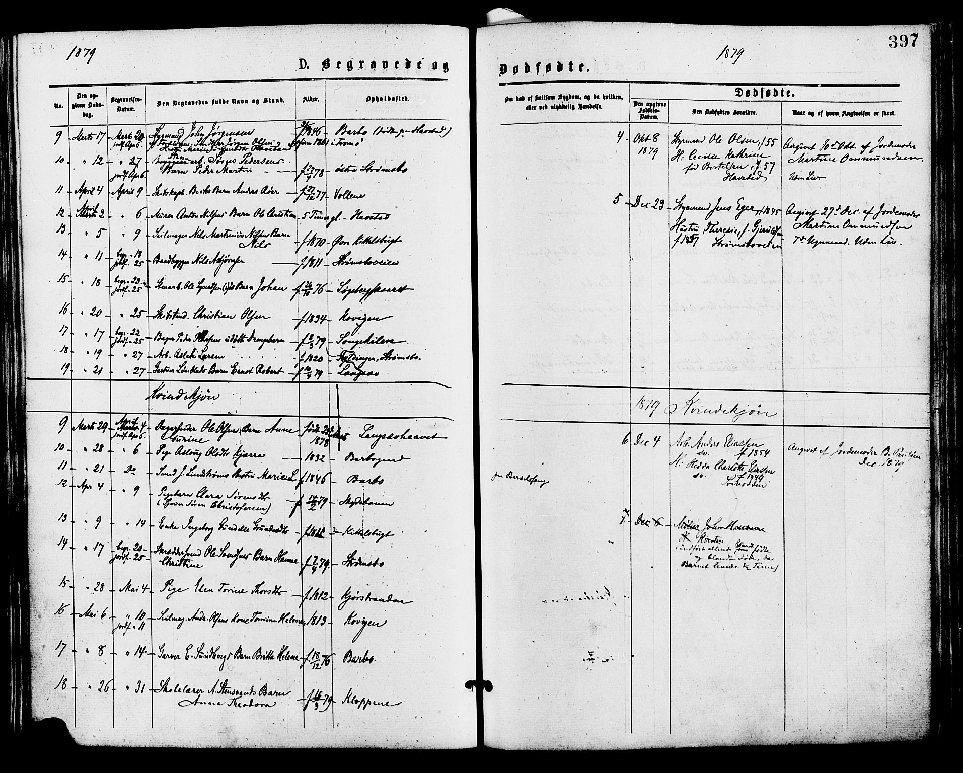 Barbu sokneprestkontor, AV/SAK-1111-0003/F/Fa/L0001: Parish register (official) no. A 1 /1, 1878-1883, p. 397