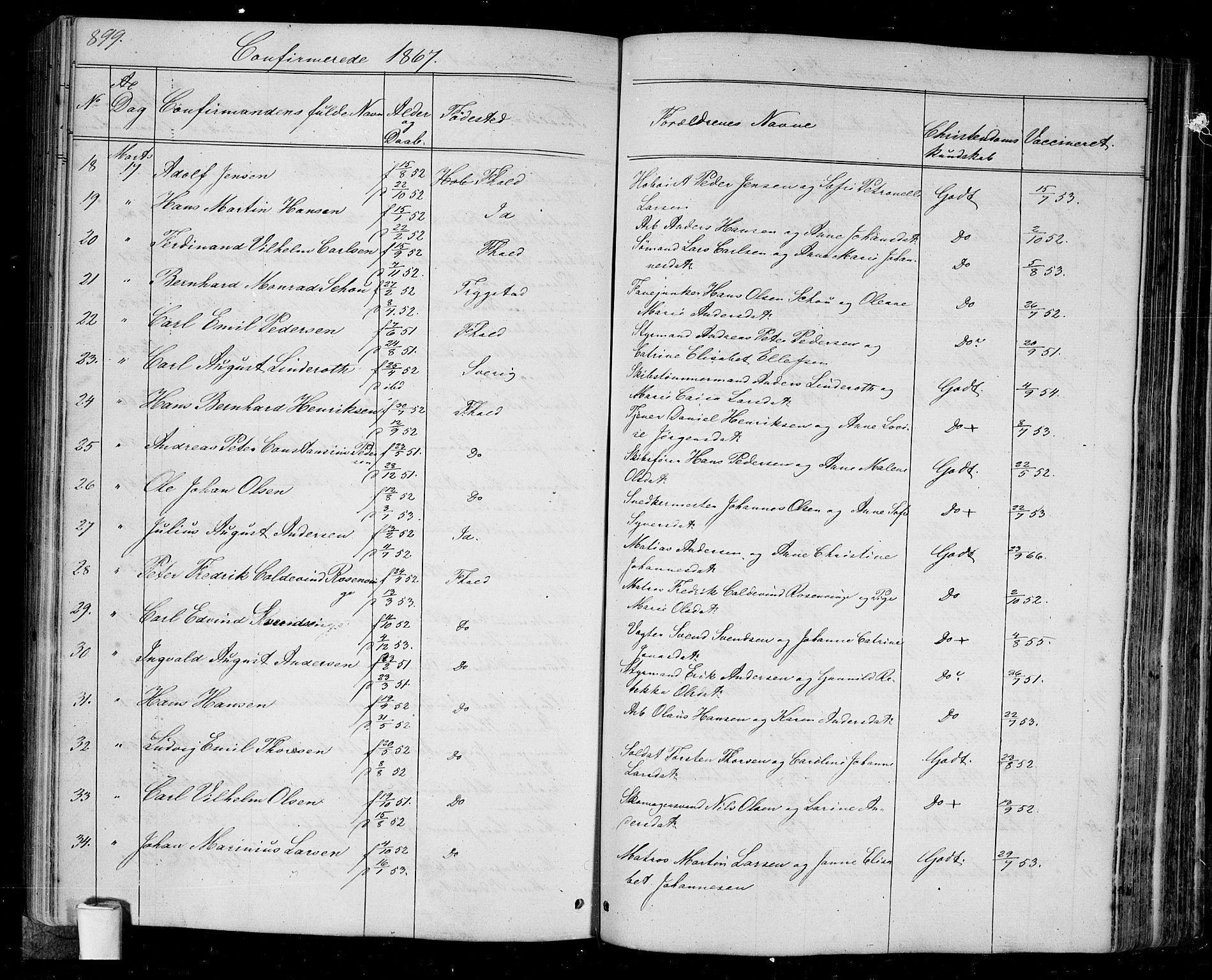 Halden prestekontor Kirkebøker, SAO/A-10909/G/Ga/L0005b: Parish register (copy) no. 5B, 1864-1868, p. 899