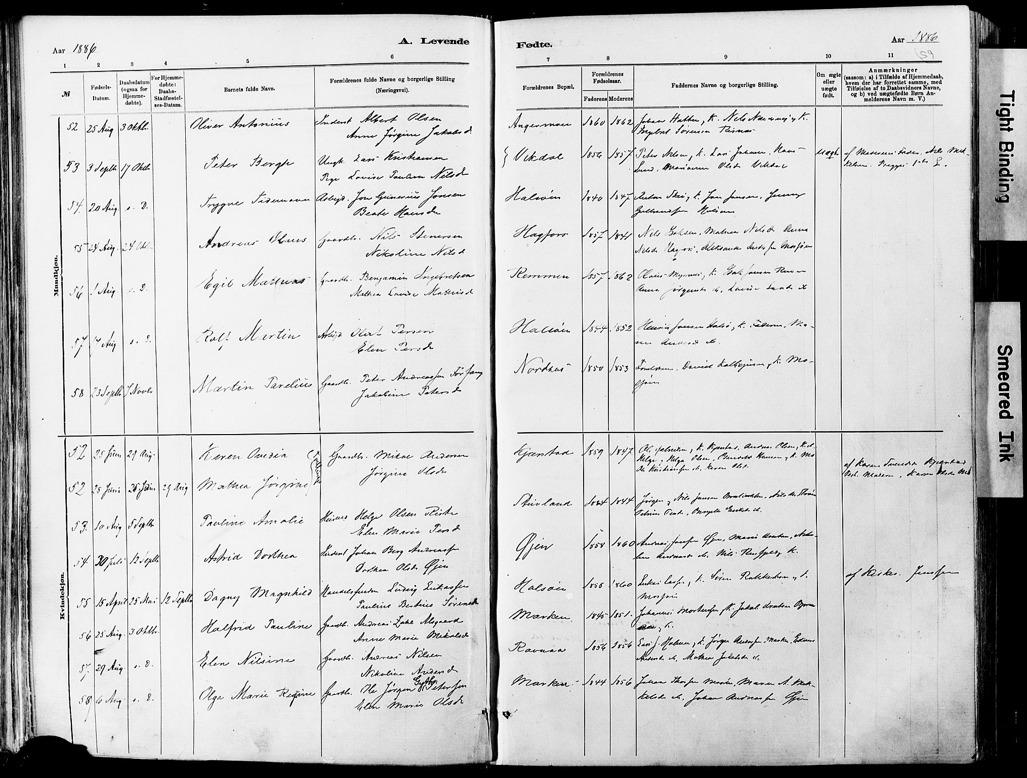 Ministerialprotokoller, klokkerbøker og fødselsregistre - Nordland, AV/SAT-A-1459/820/L0295: Parish register (official) no. 820A16, 1880-1896, p. 59