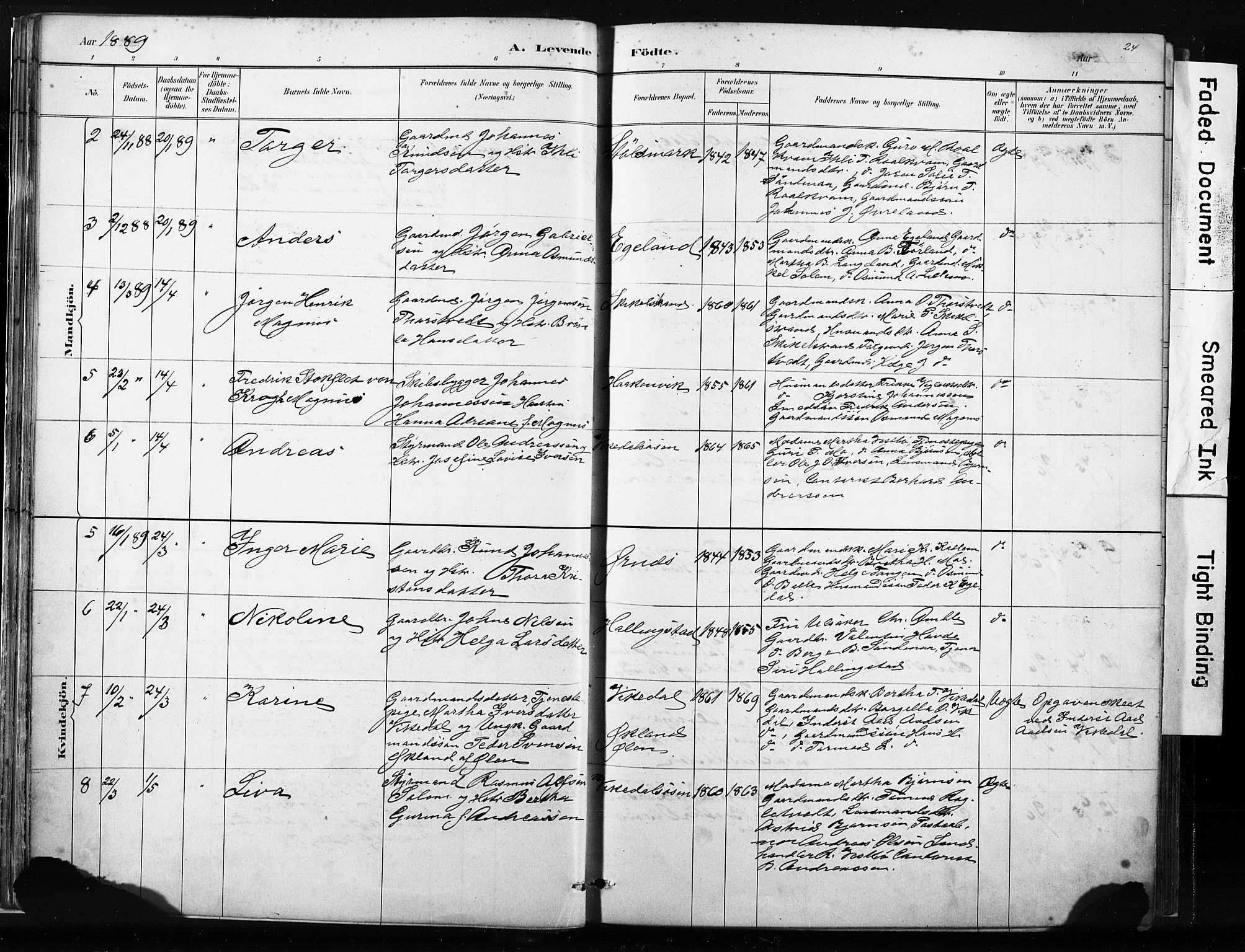 Vikedal sokneprestkontor, SAST/A-101840/01/IV: Parish register (official) no. A 10, 1884-1907, p. 24