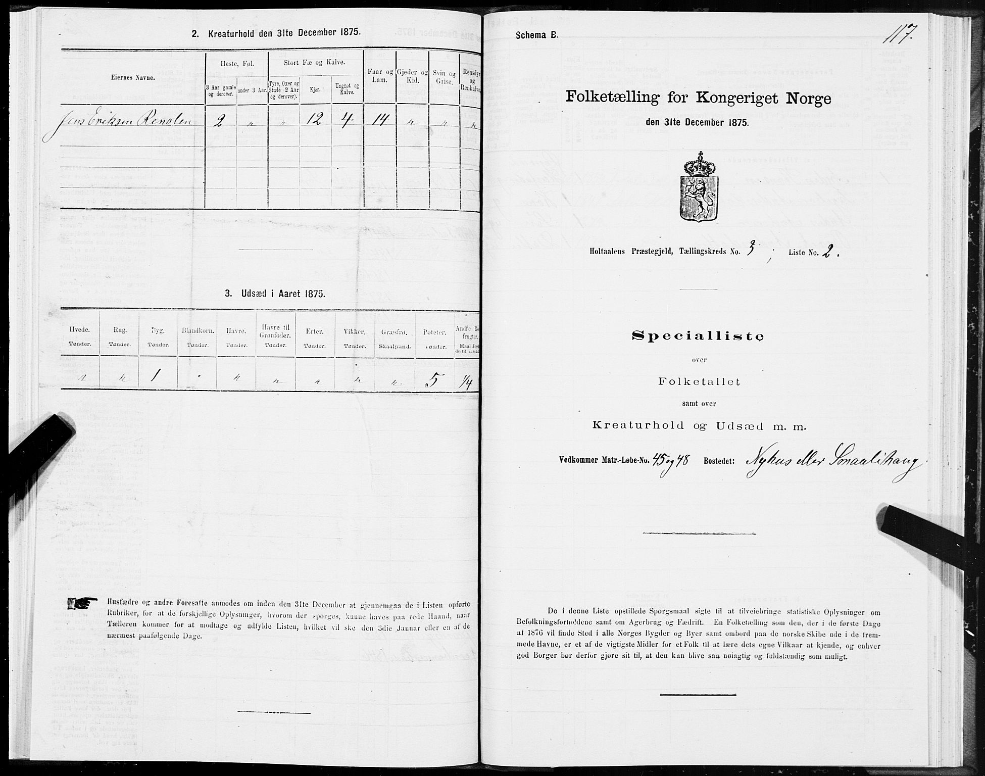 SAT, 1875 census for 1645P Haltdalen, 1875, p. 4117