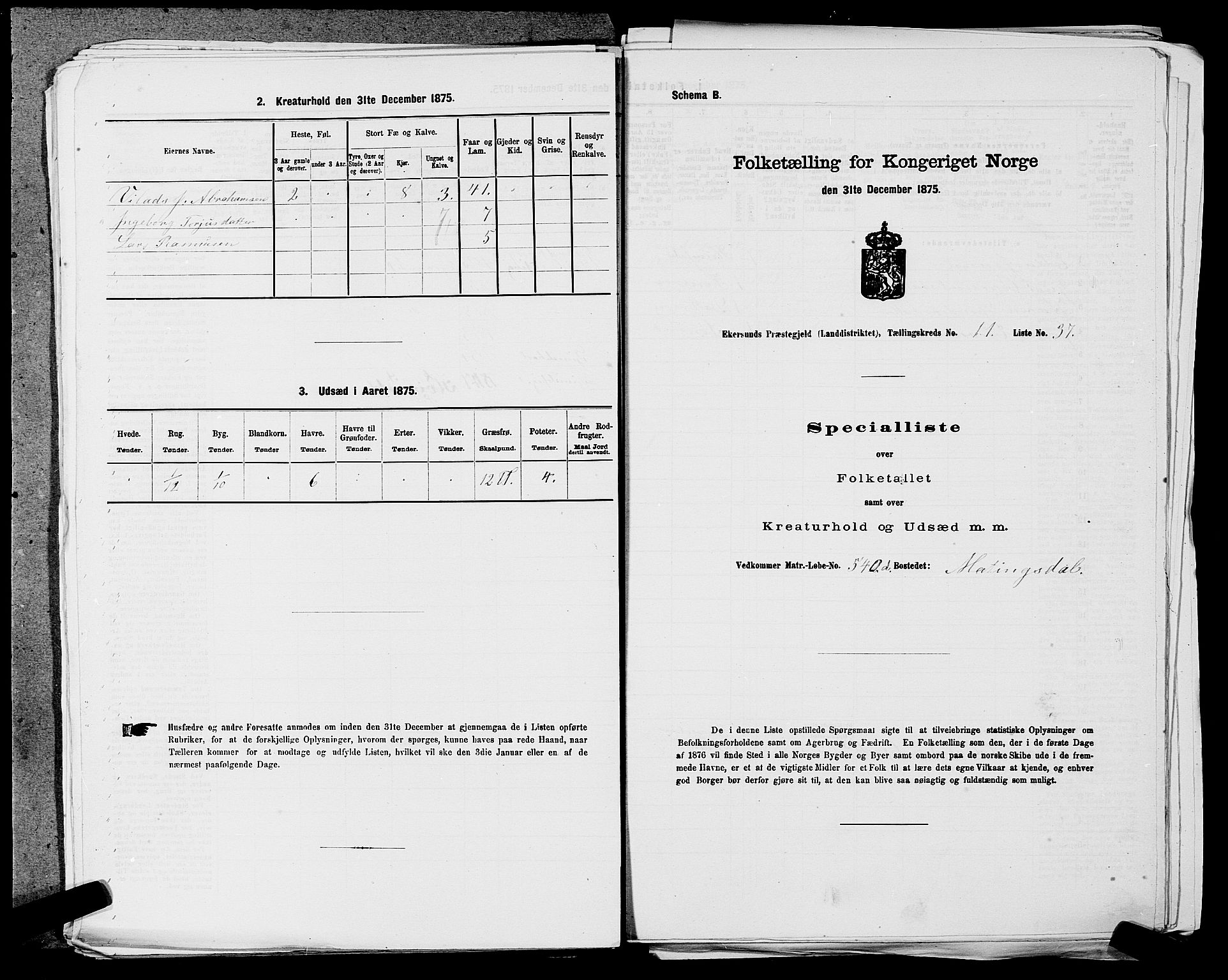 SAST, 1875 census for 1116L Eigersund/Eigersund og Ogna, 1875, p. 1266