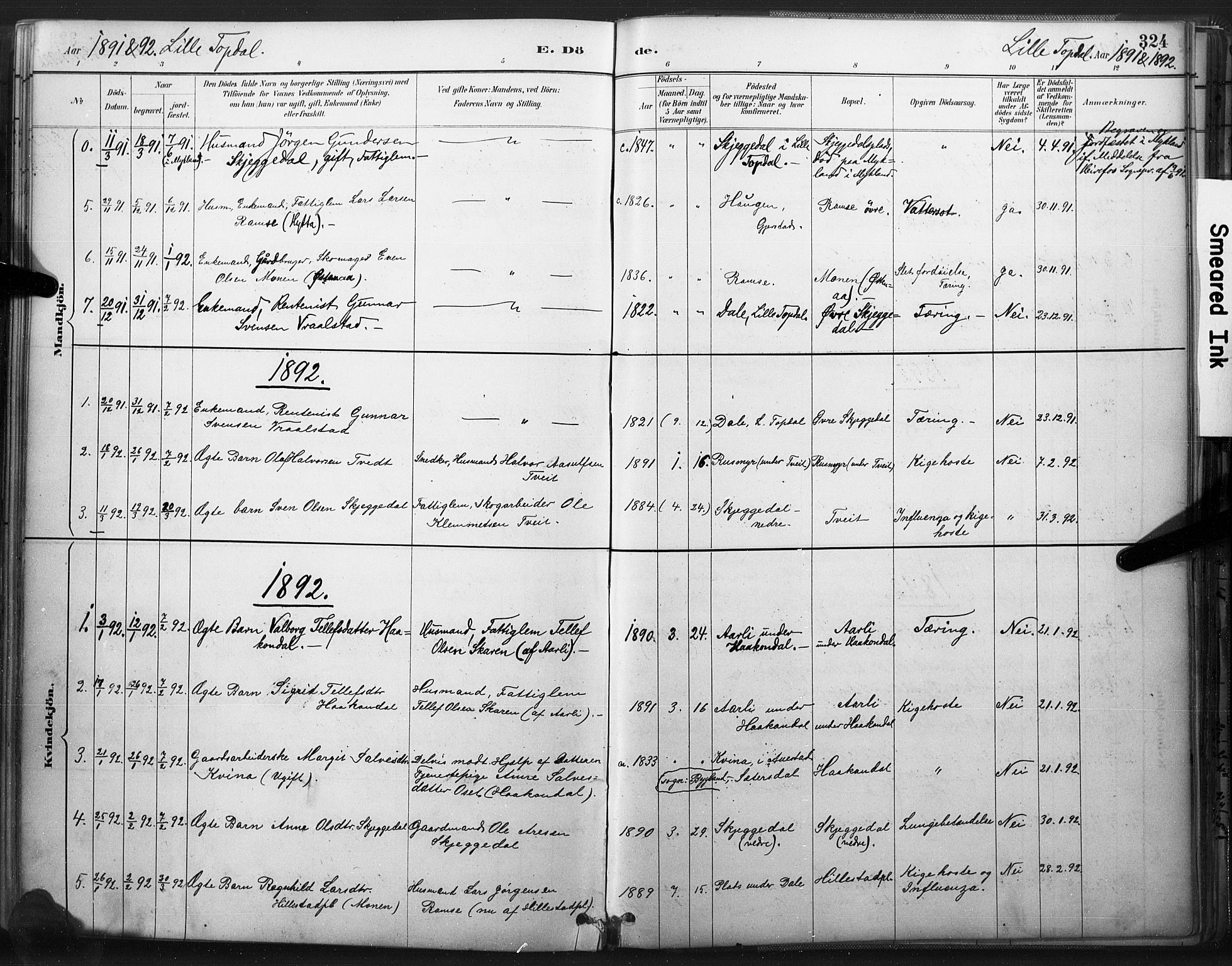 Åmli sokneprestkontor, AV/SAK-1111-0050/F/Fa/Fac/L0010: Parish register (official) no. A 10 /3, 1885-1899, p. 324