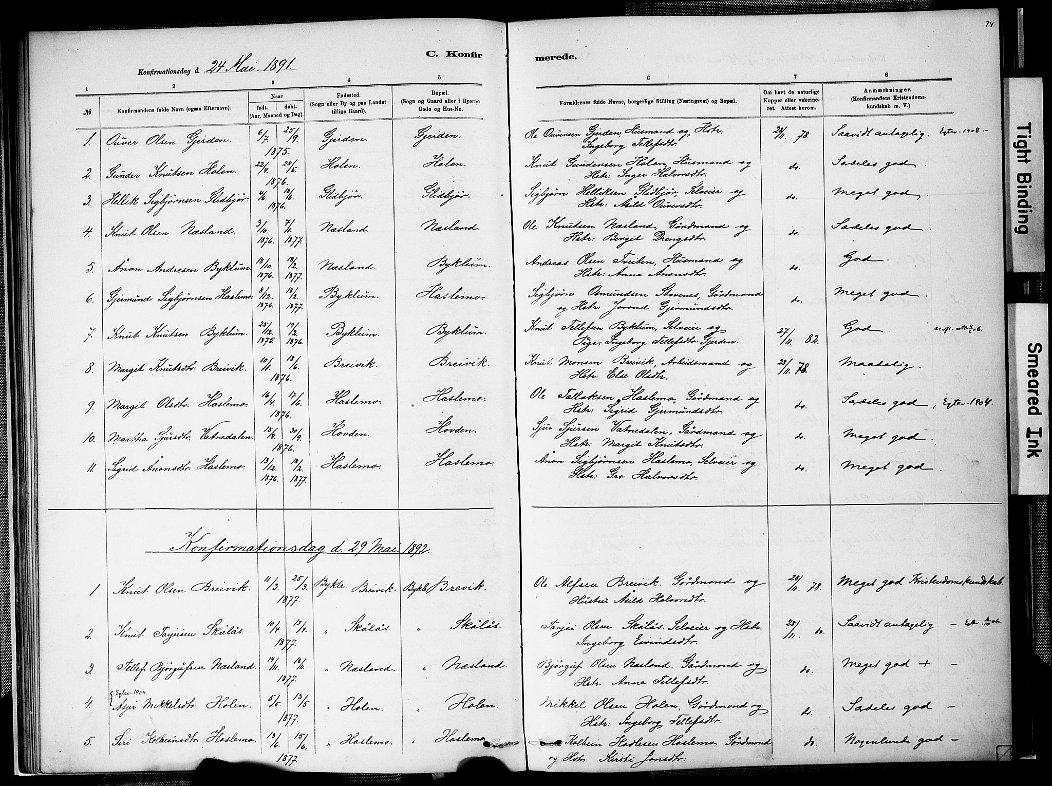 Valle sokneprestkontor, SAK/1111-0044/F/Fa/Faa/L0001: Parish register (official) no. A 1, 1882-1907, p. 74