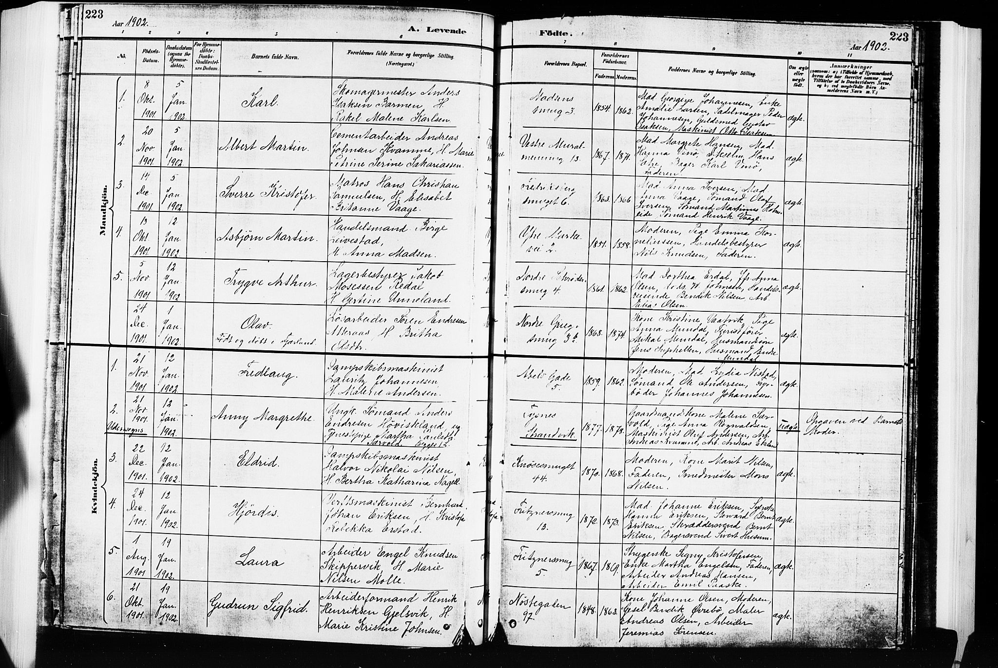 Nykirken Sokneprestembete, SAB/A-77101/H/Hab: Parish register (copy) no. B 4, 1900-1903, p. 223