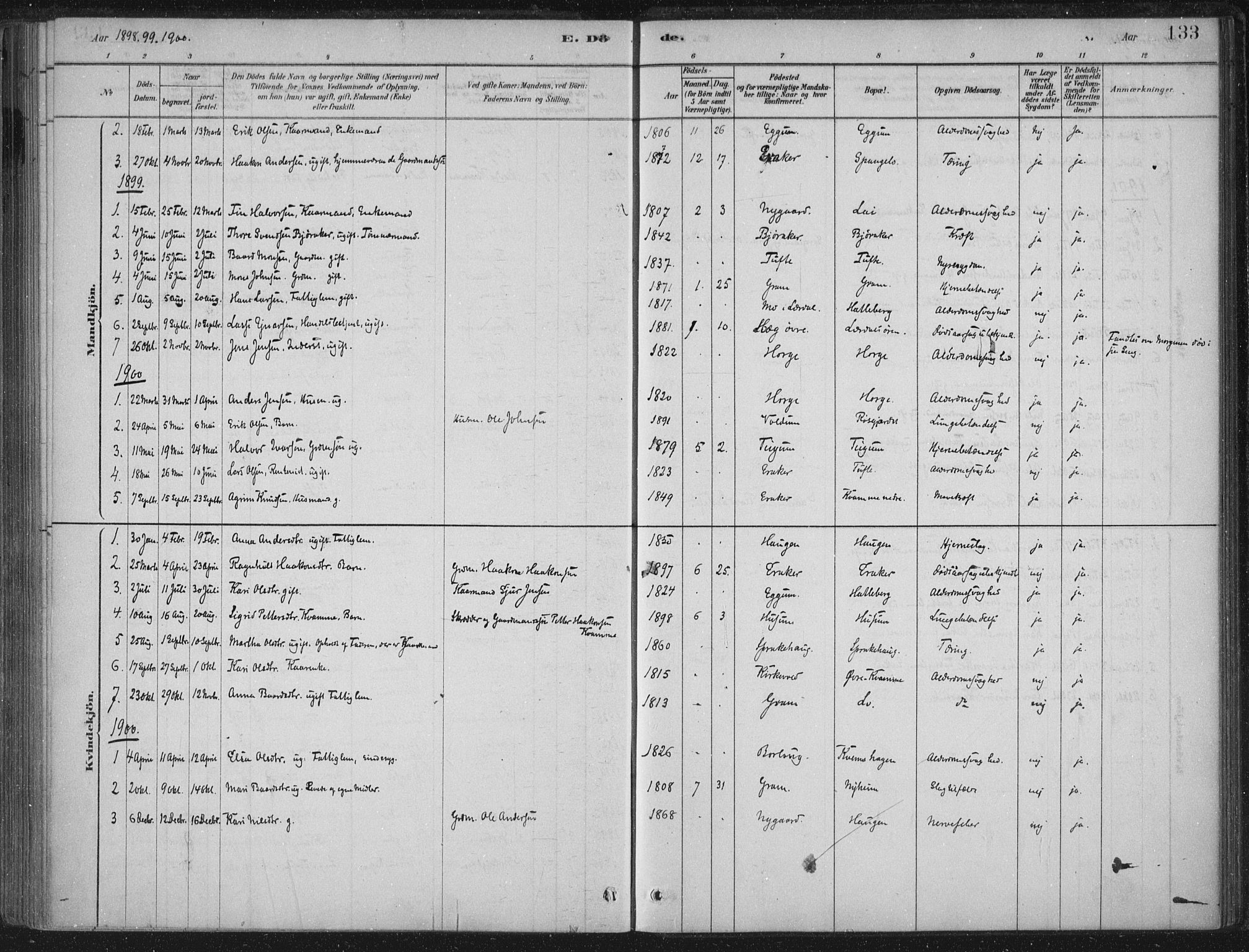 Lærdal sokneprestembete, SAB/A-81201: Parish register (official) no. C  1, 1878-1911, p. 133