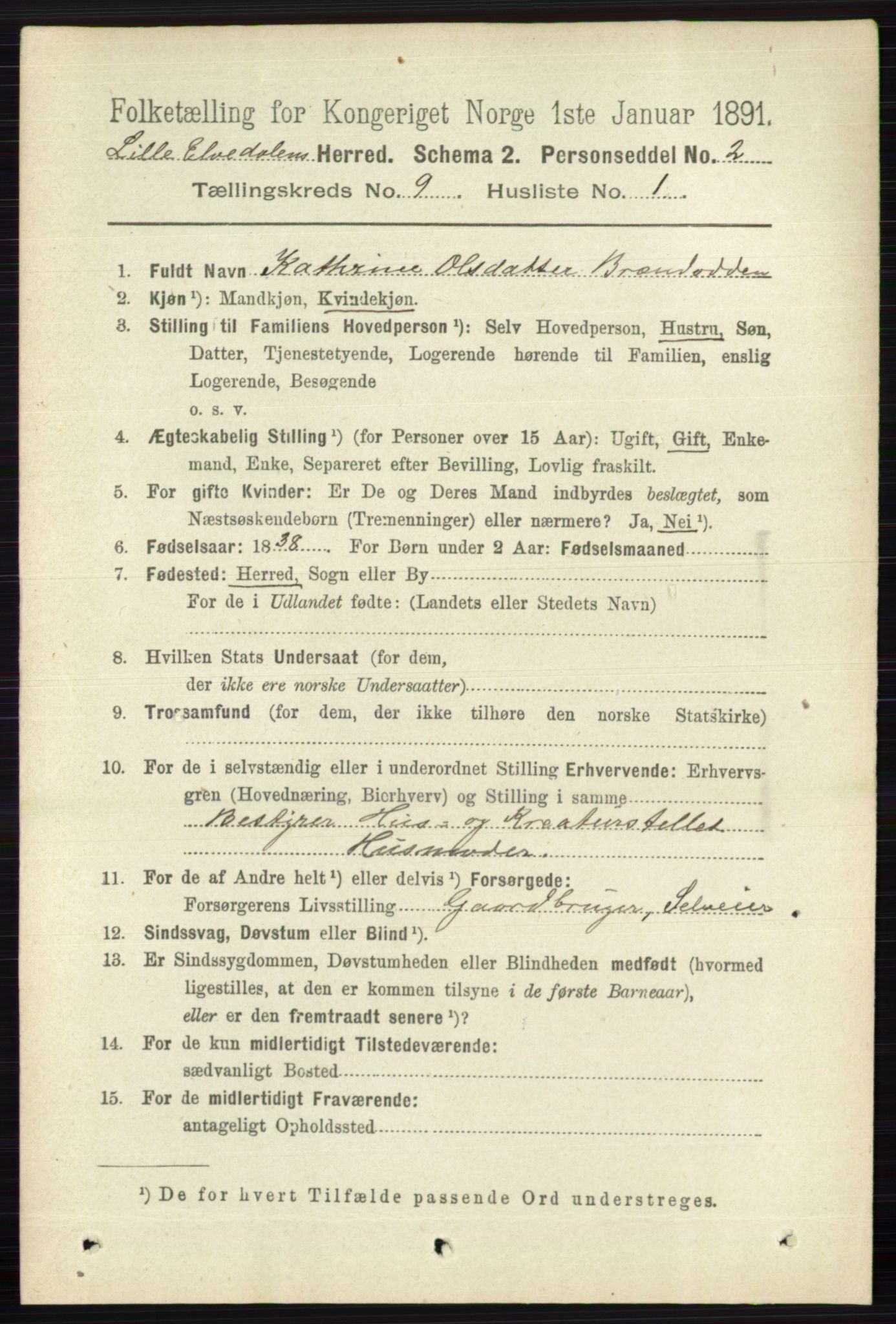 RA, 1891 census for 0438 Lille Elvedalen, 1891, p. 2802