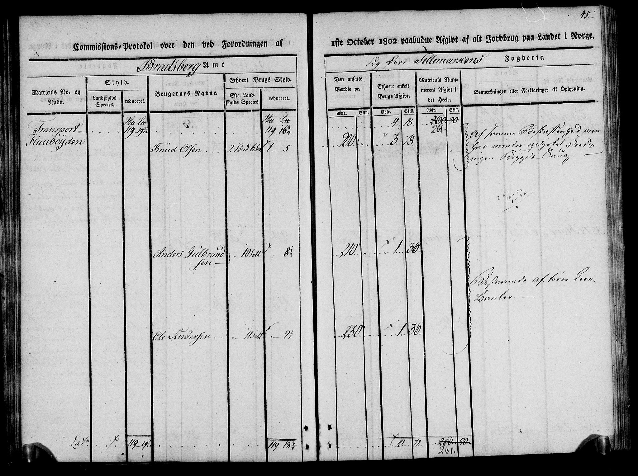 Rentekammeret inntil 1814, Realistisk ordnet avdeling, RA/EA-4070/N/Ne/Nea/L0075: Øvre Telemarken fogderi. Kommisjonsprotokoll for fogderiets vestre del - Kviteseid, Vinje, Moland [):Fyresdal] og Lårdal prestegjeld., 1803, p. 45