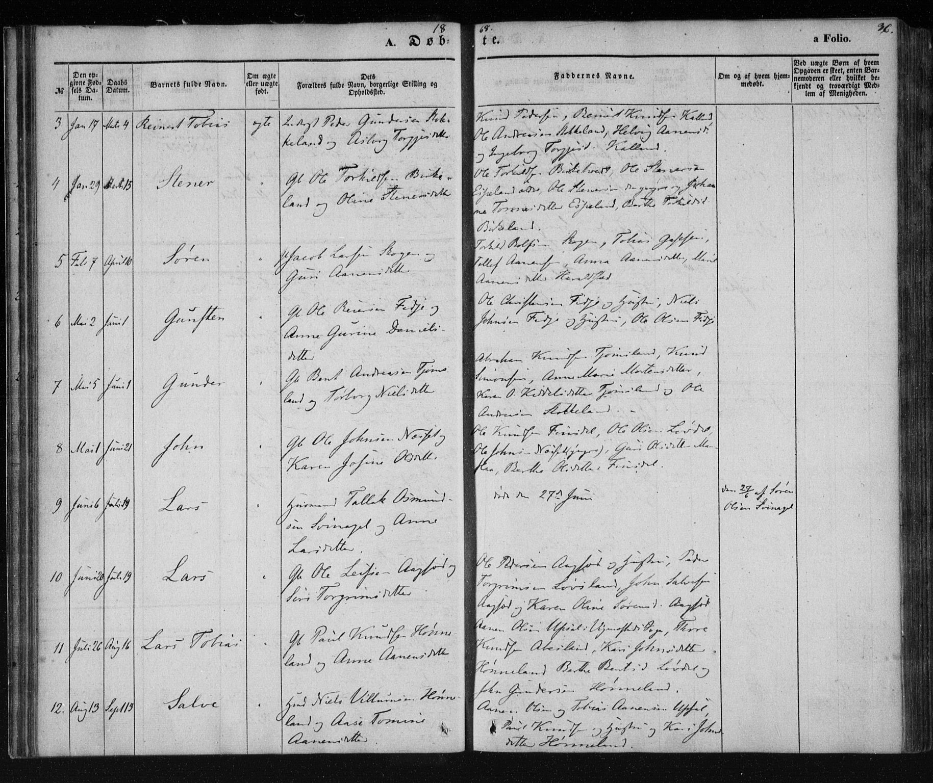 Holum sokneprestkontor, AV/SAK-1111-0022/F/Fa/Fab/L0005: Parish register (official) no. A 5, 1847-1874, p. 36