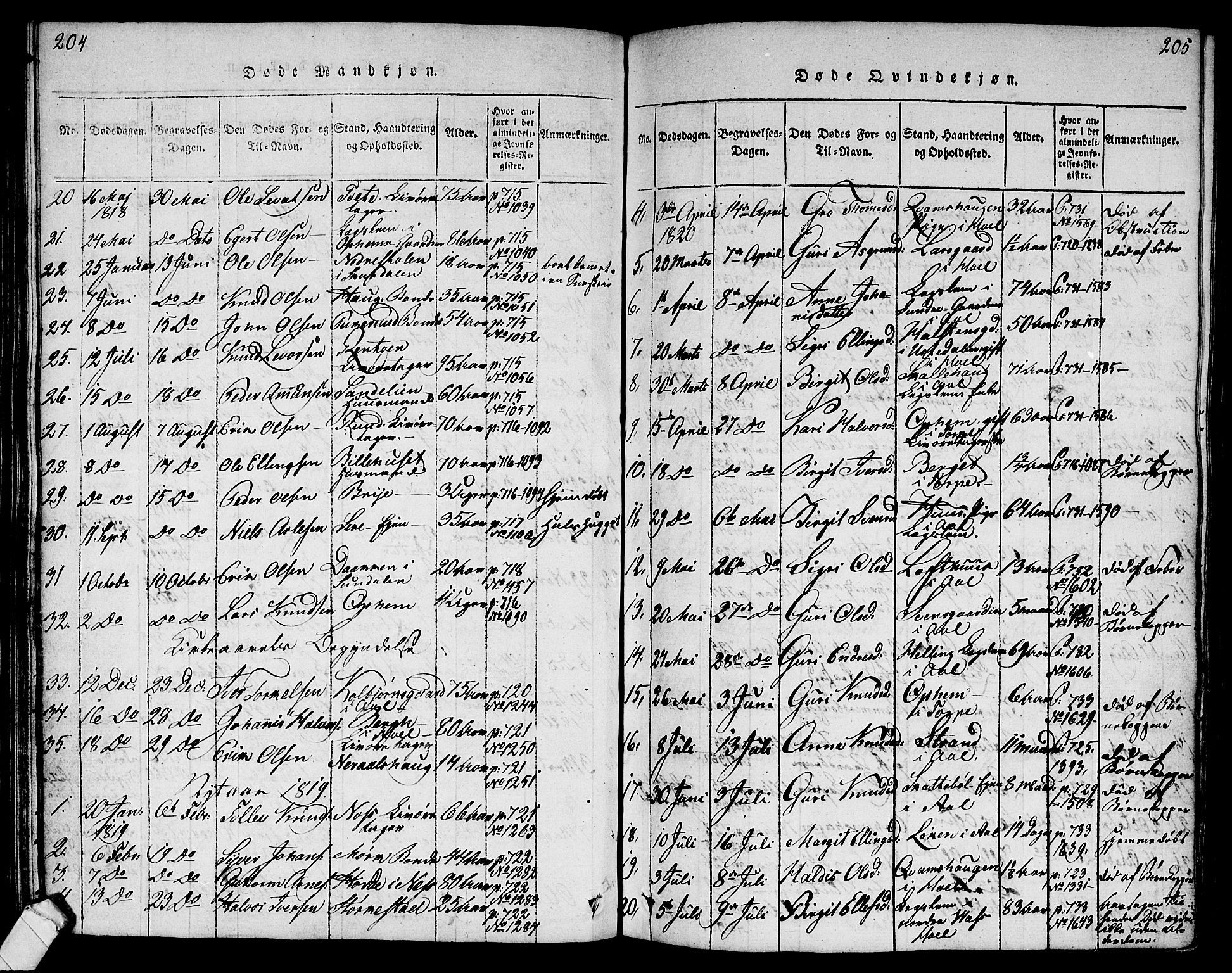 Ål kirkebøker, AV/SAKO-A-249/G/Ga/L0001: Parish register (copy) no. 1, 1815-1829, p. 204-205