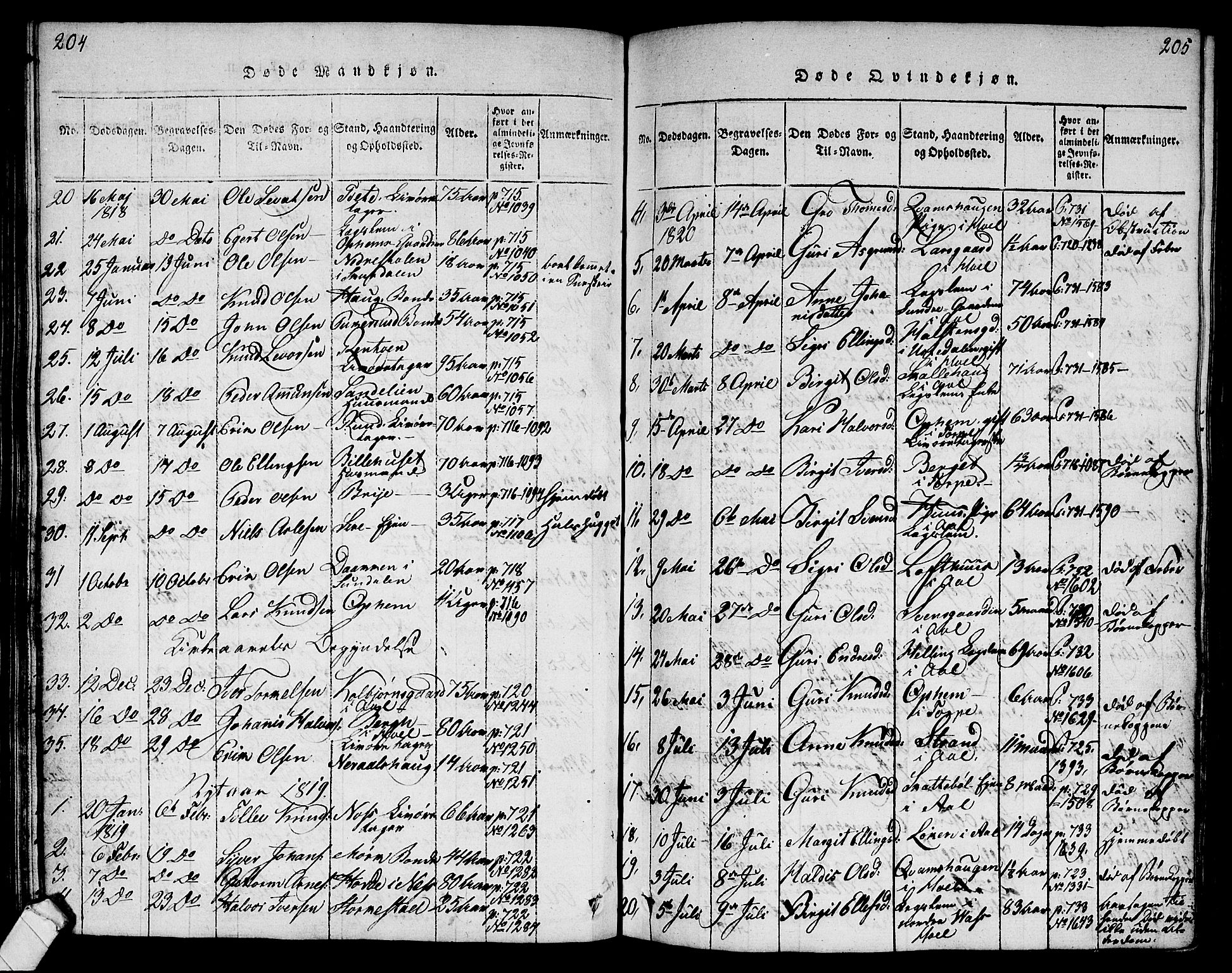 Ål kirkebøker, AV/SAKO-A-249/G/Ga/L0001: Parish register (copy) no. 1, 1815-1829, p. 204-205