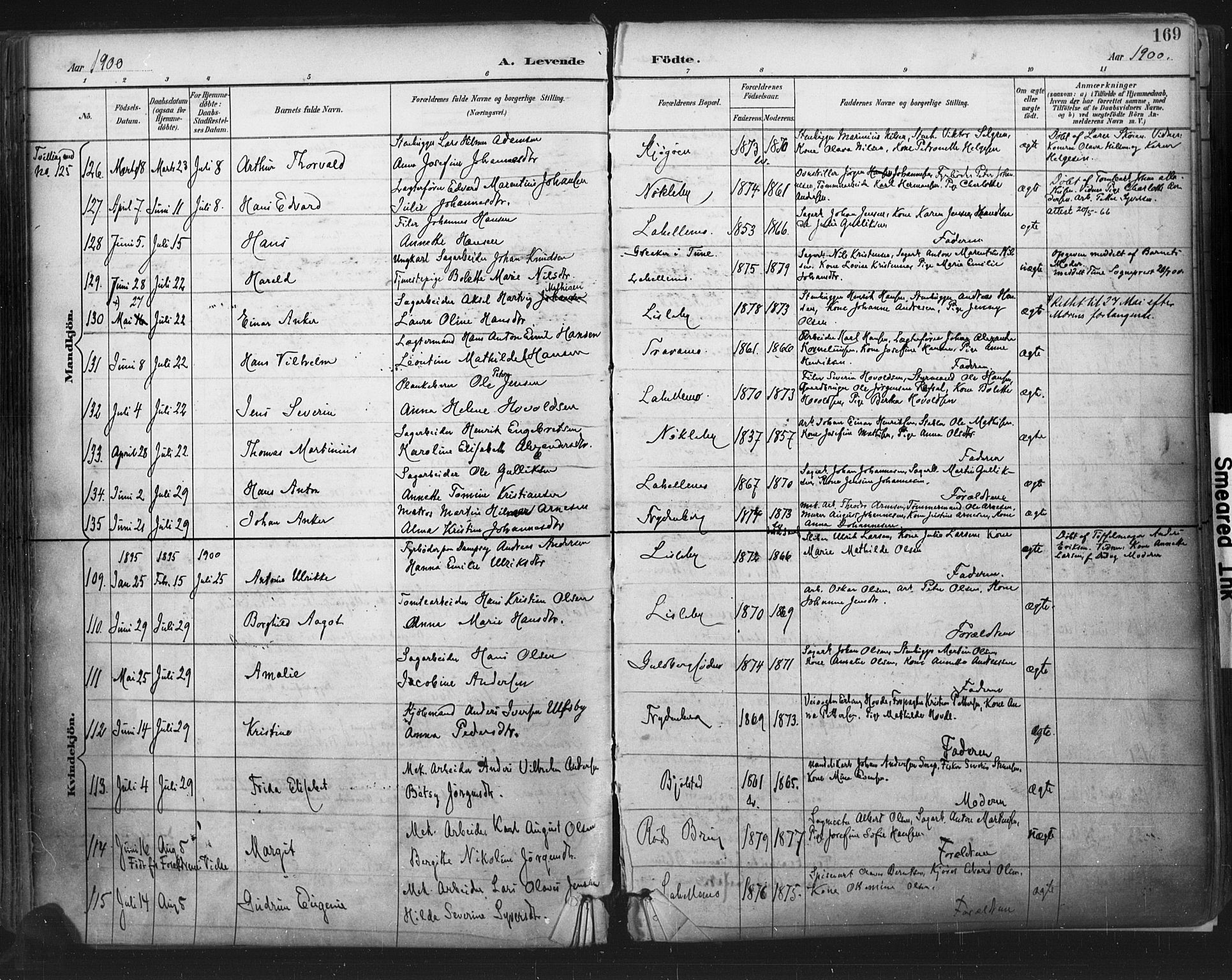 Glemmen prestekontor Kirkebøker, SAO/A-10908/F/Fa/L0013: Parish register (official) no. 13, 1892-1907, p. 169