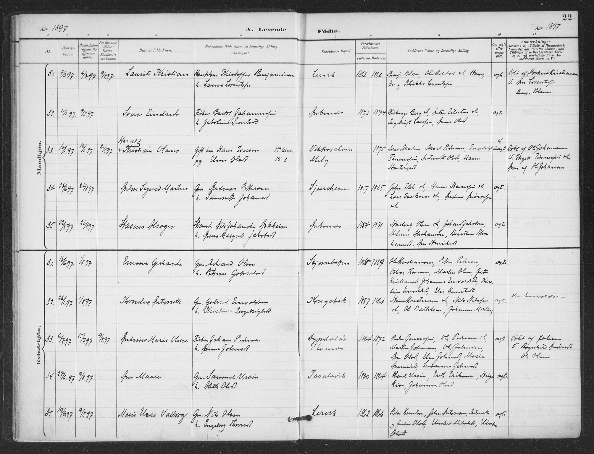 Ministerialprotokoller, klokkerbøker og fødselsregistre - Nordland, SAT/A-1459/866/L0939: Parish register (official) no. 866A02, 1894-1906, p. 22