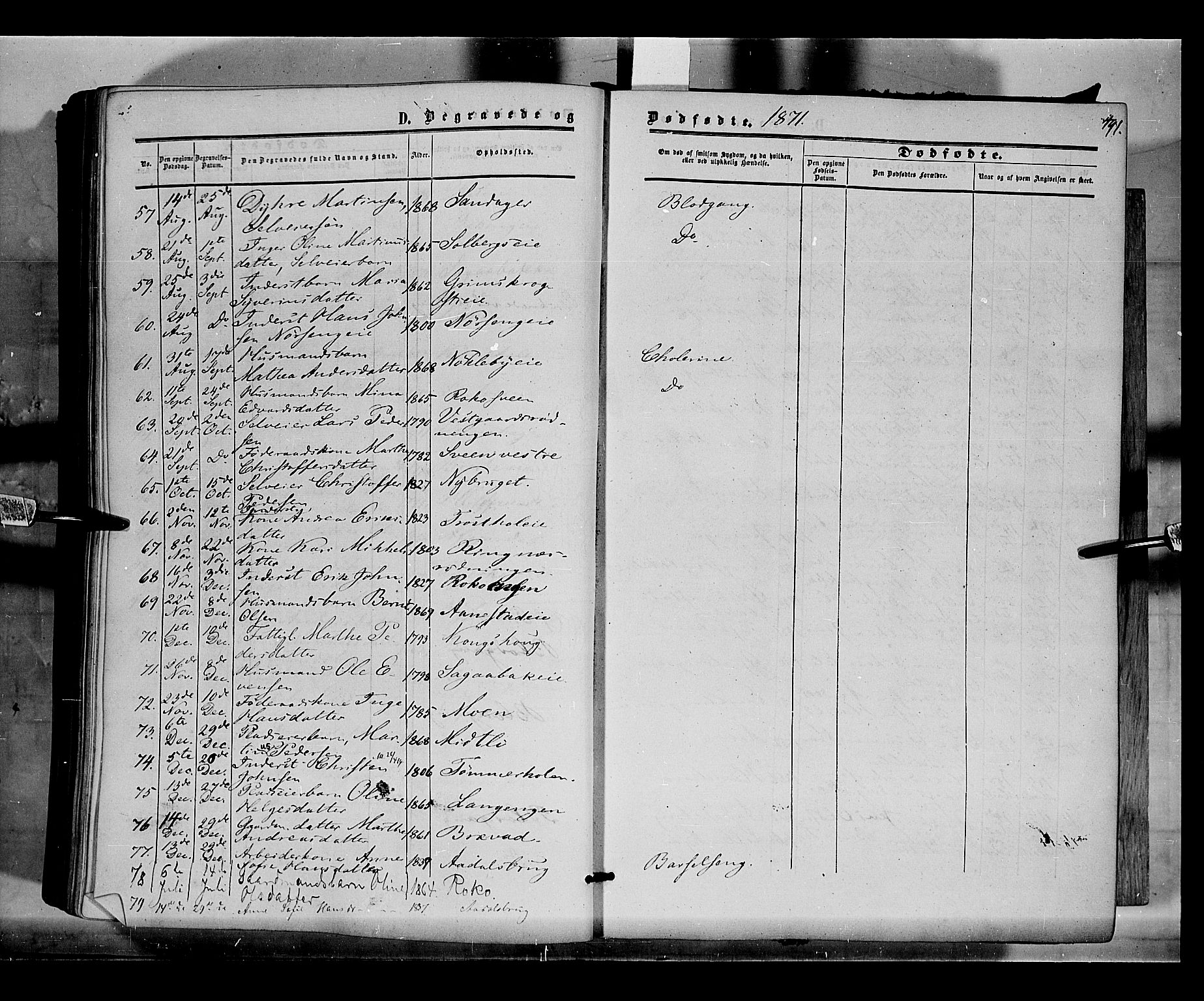Løten prestekontor, SAH/PREST-022/K/Ka/L0008: Parish register (official) no. 8, 1860-1877, p. 491
