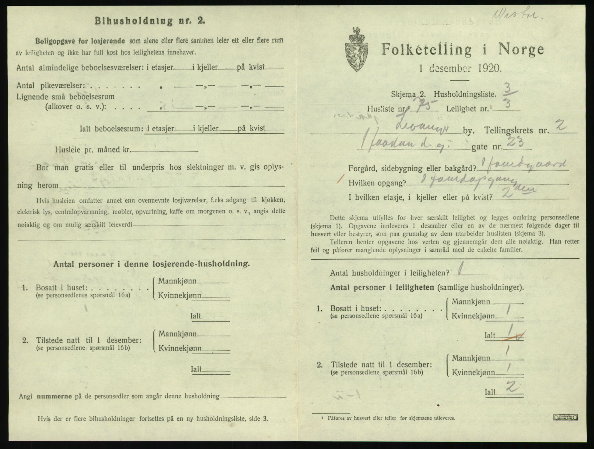 SAT, 1920 census for Levanger town, 1920, p. 1100