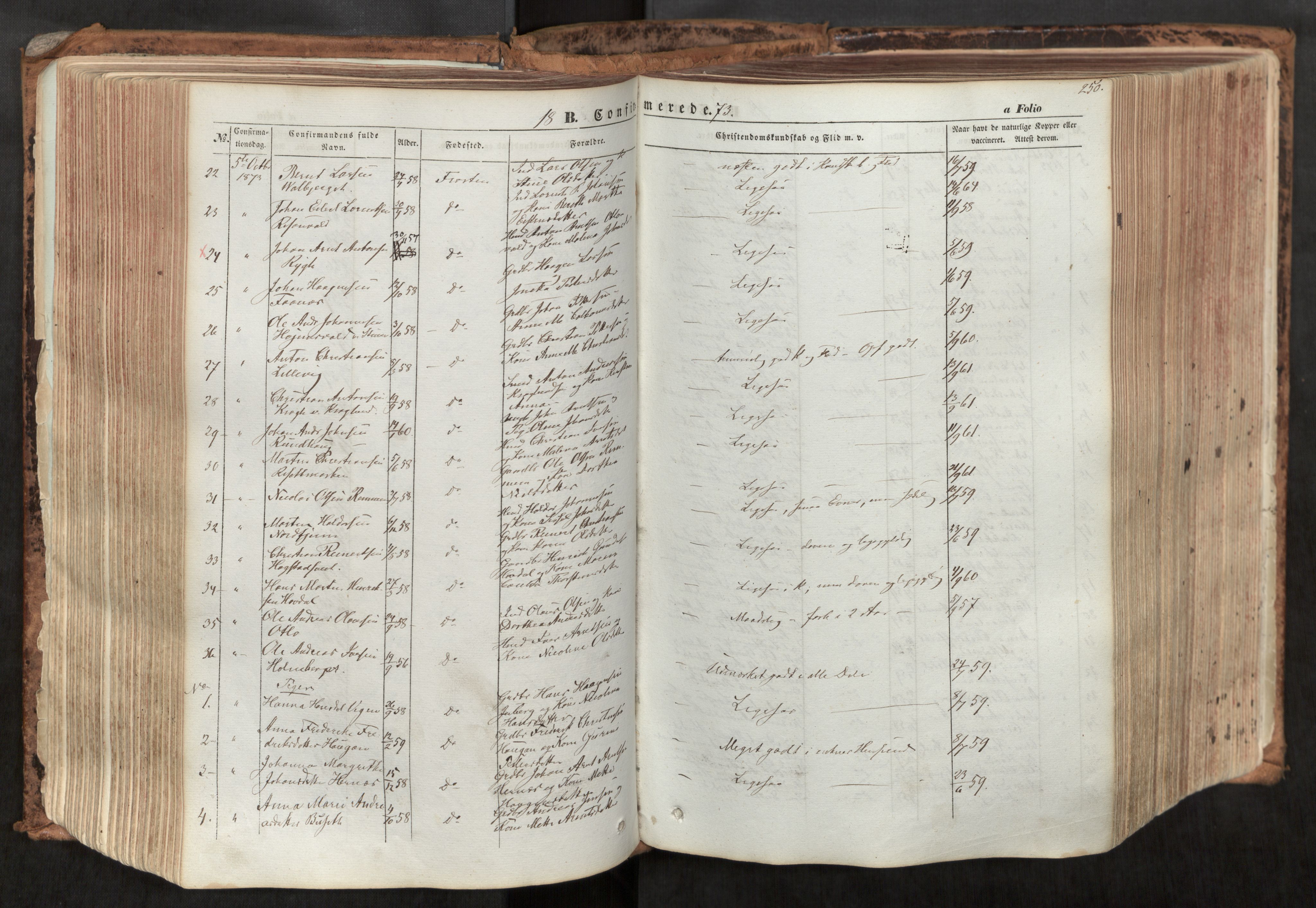 Ministerialprotokoller, klokkerbøker og fødselsregistre - Nord-Trøndelag, SAT/A-1458/713/L0116: Parish register (official) no. 713A07, 1850-1877, p. 250