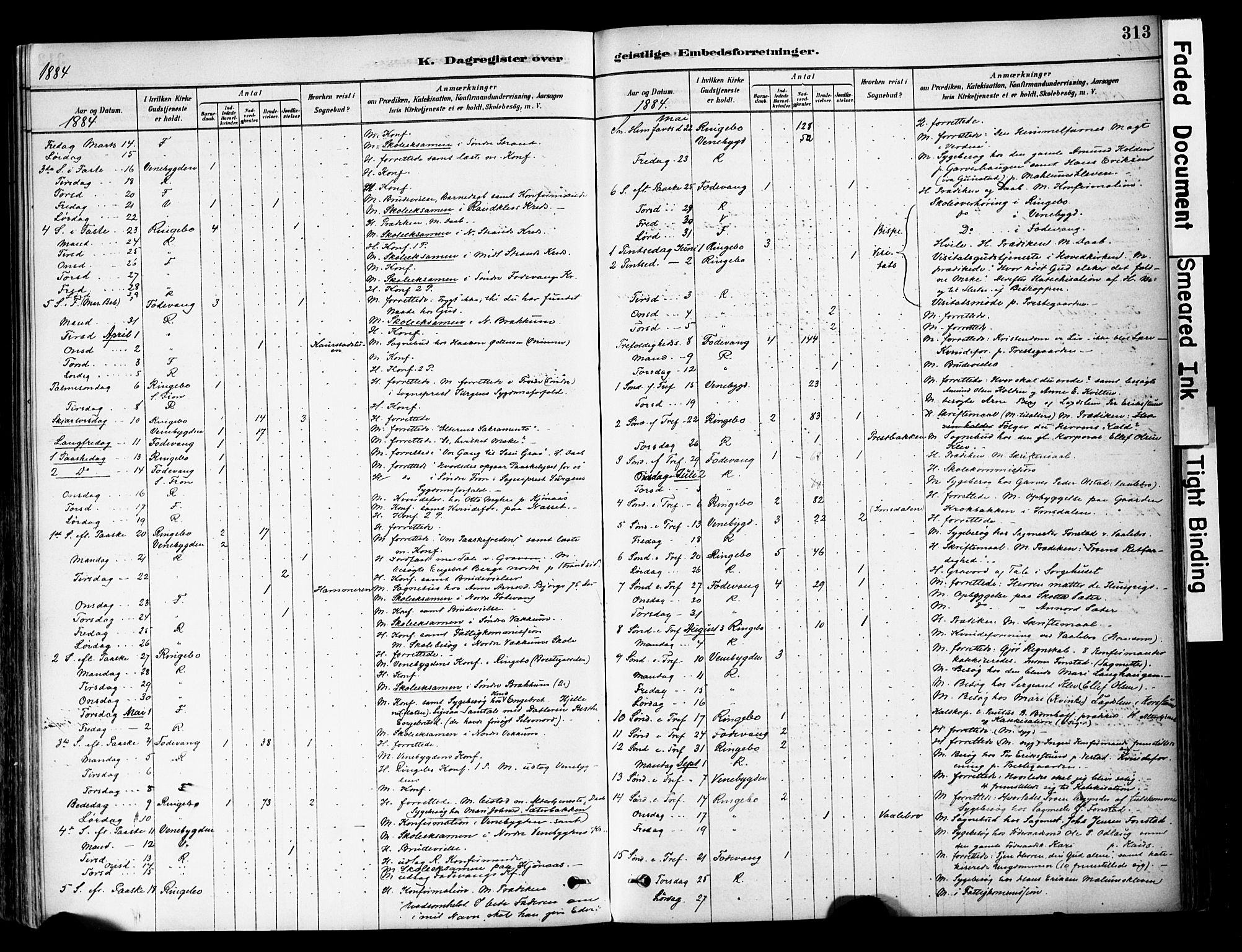 Ringebu prestekontor, AV/SAH-PREST-082/H/Ha/Haa/L0008: Parish register (official) no. 8, 1878-1898, p. 313