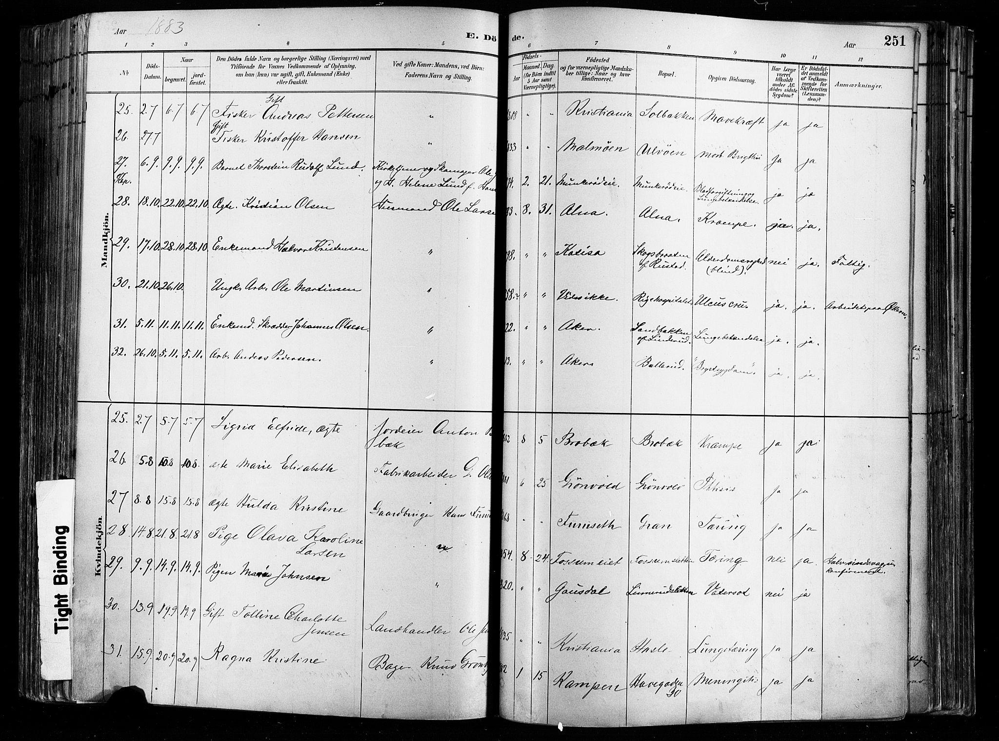 Østre Aker prestekontor Kirkebøker, AV/SAO-A-10840/F/Fa/L0008: Parish register (official) no. I 8, 1883-1894, p. 251