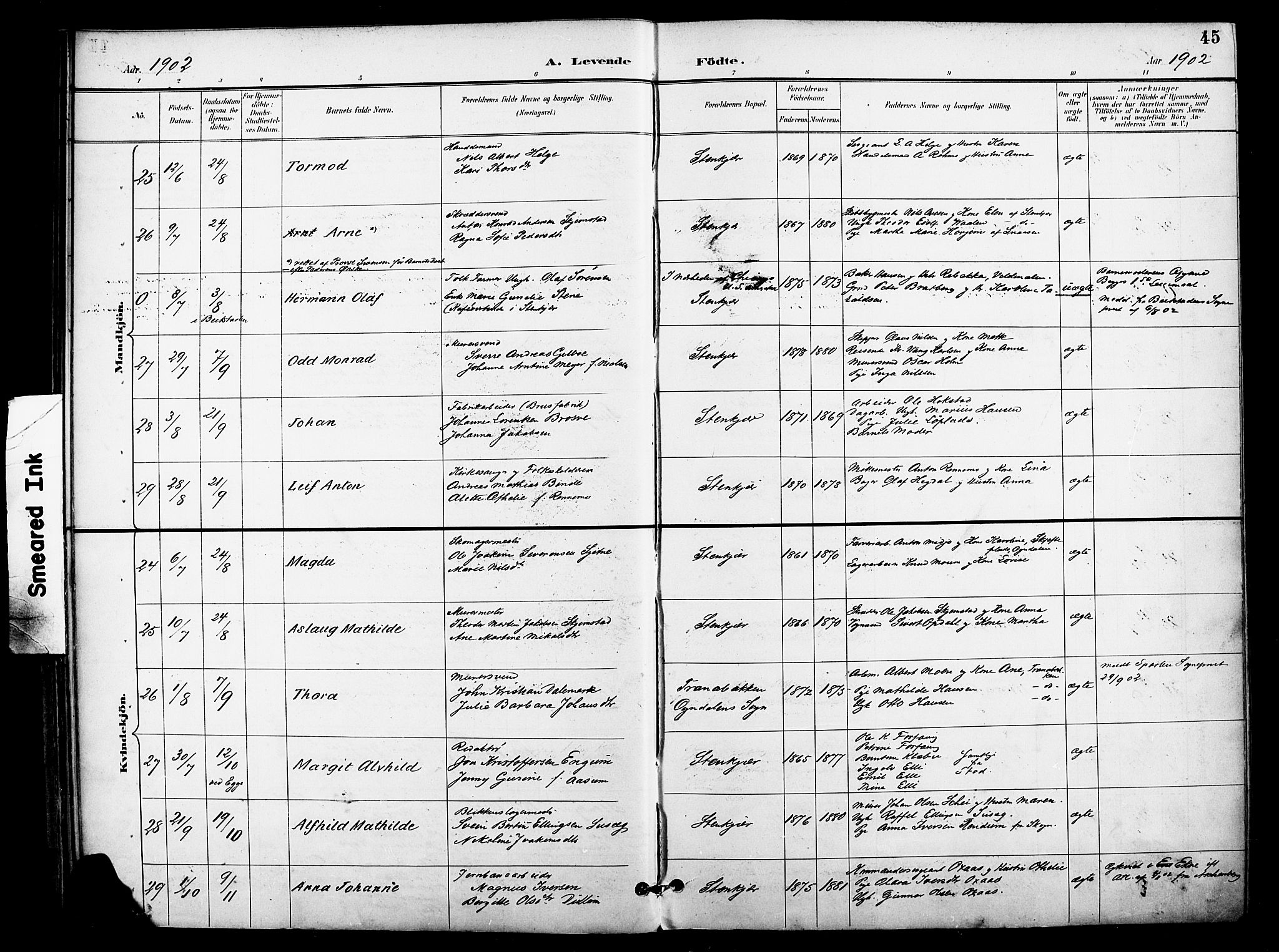 Ministerialprotokoller, klokkerbøker og fødselsregistre - Nord-Trøndelag, AV/SAT-A-1458/739/L0372: Parish register (official) no. 739A04, 1895-1903, p. 45
