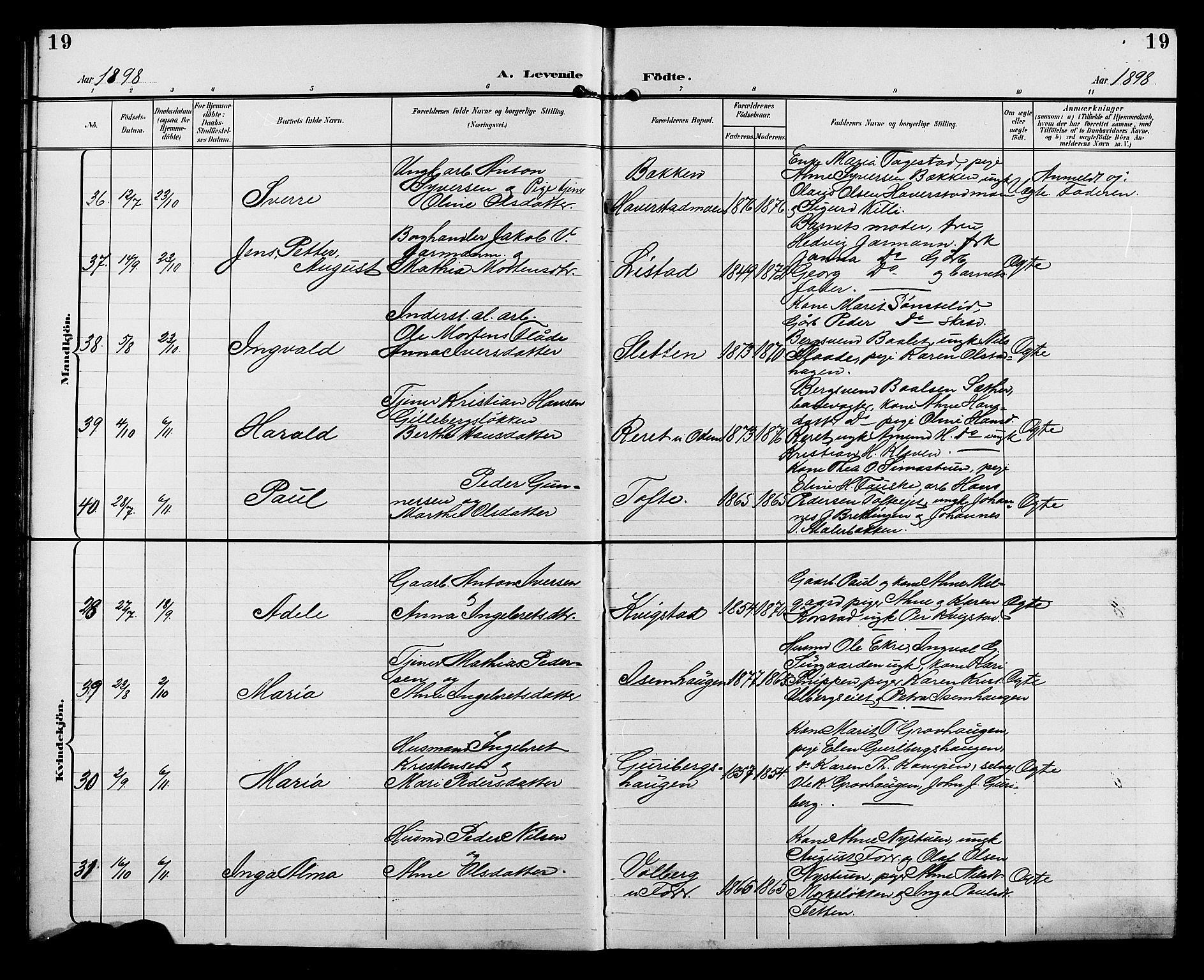 Sør-Fron prestekontor, SAH/PREST-010/H/Ha/Hab/L0004: Parish register (copy) no. 4, 1896-1911, p. 19