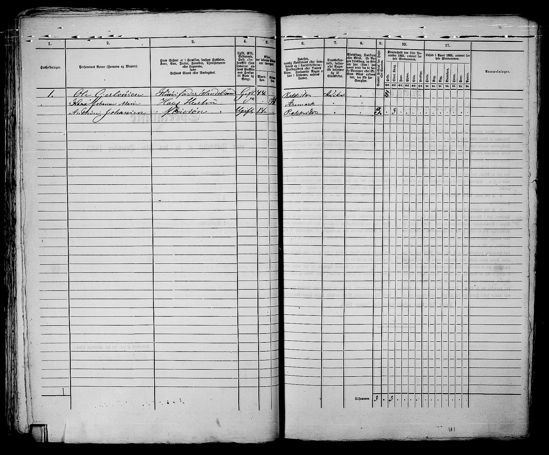 RA, 1865 census for Fredrikshald, 1865, p. 883